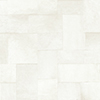 Appaloosa – White