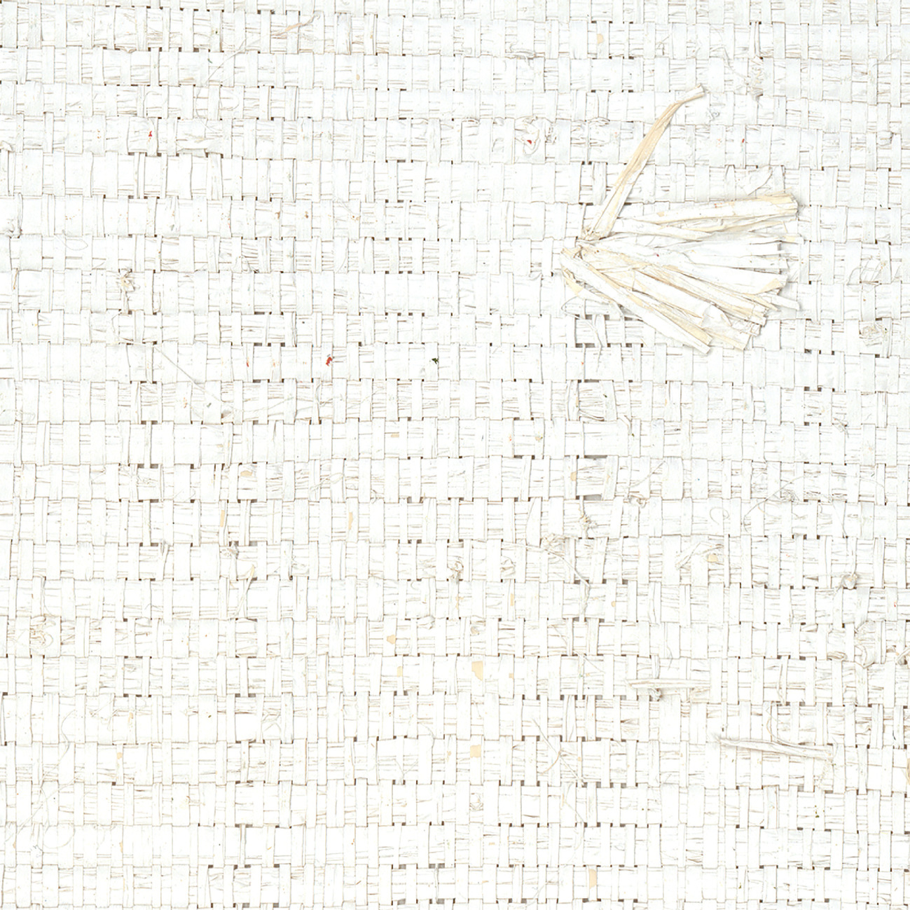 Nosy Be – White