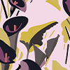 Arum – Multicolored