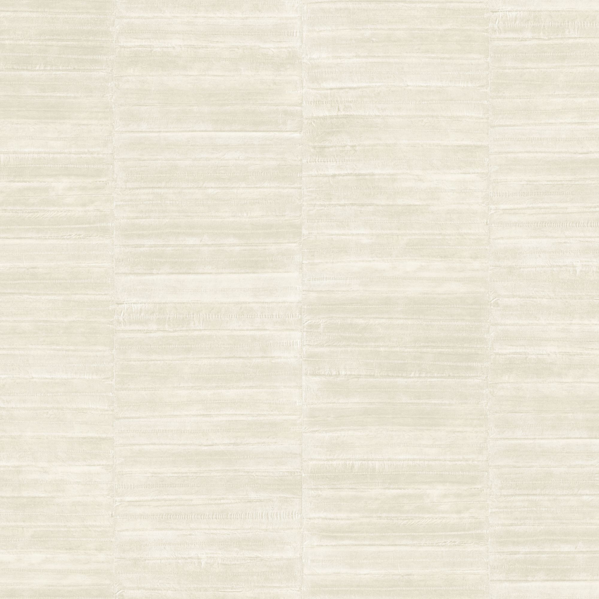 Anguille – White