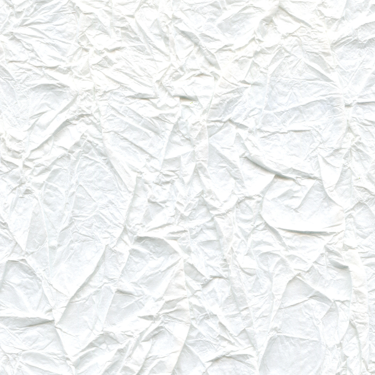 Splendeurs d’une favorite – White