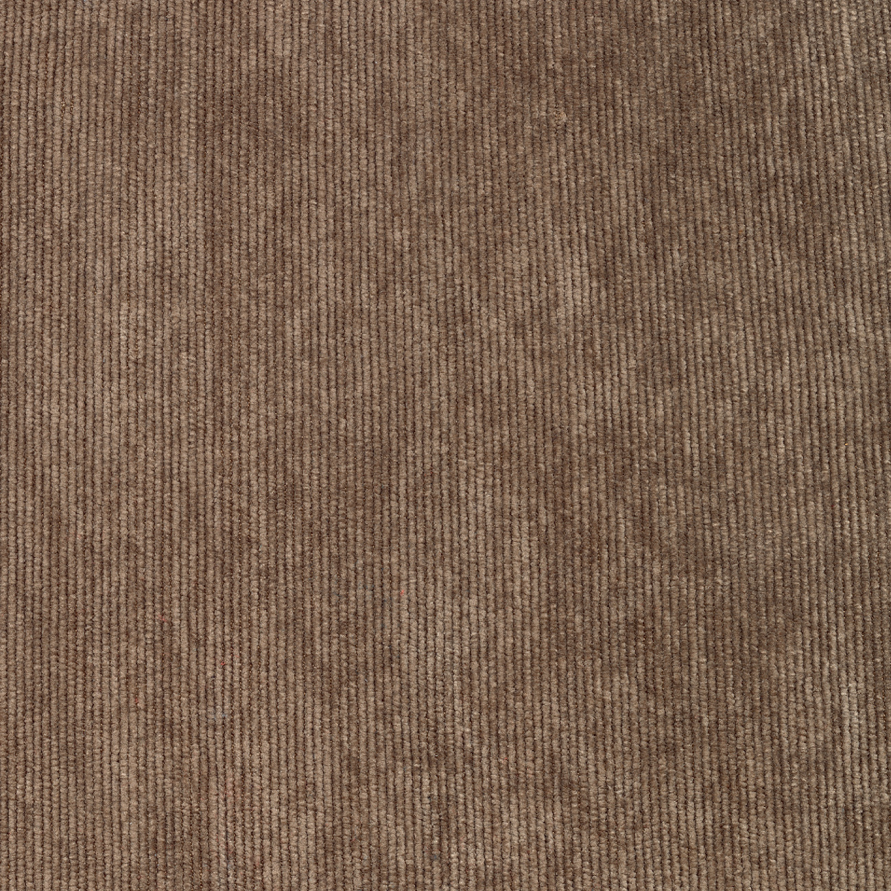 Garçonnière – Beige