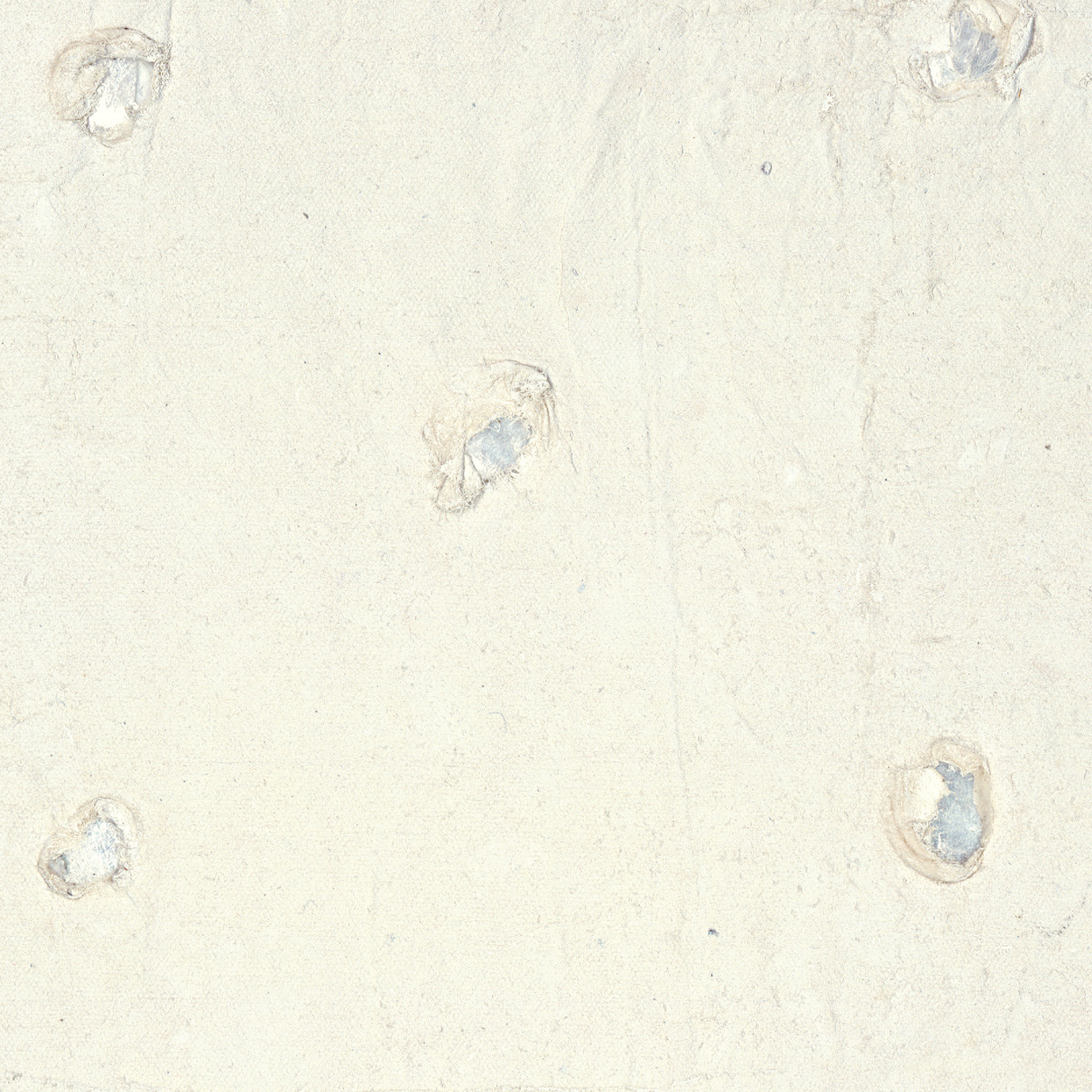 Naha – White