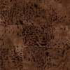 Panthère – Brown