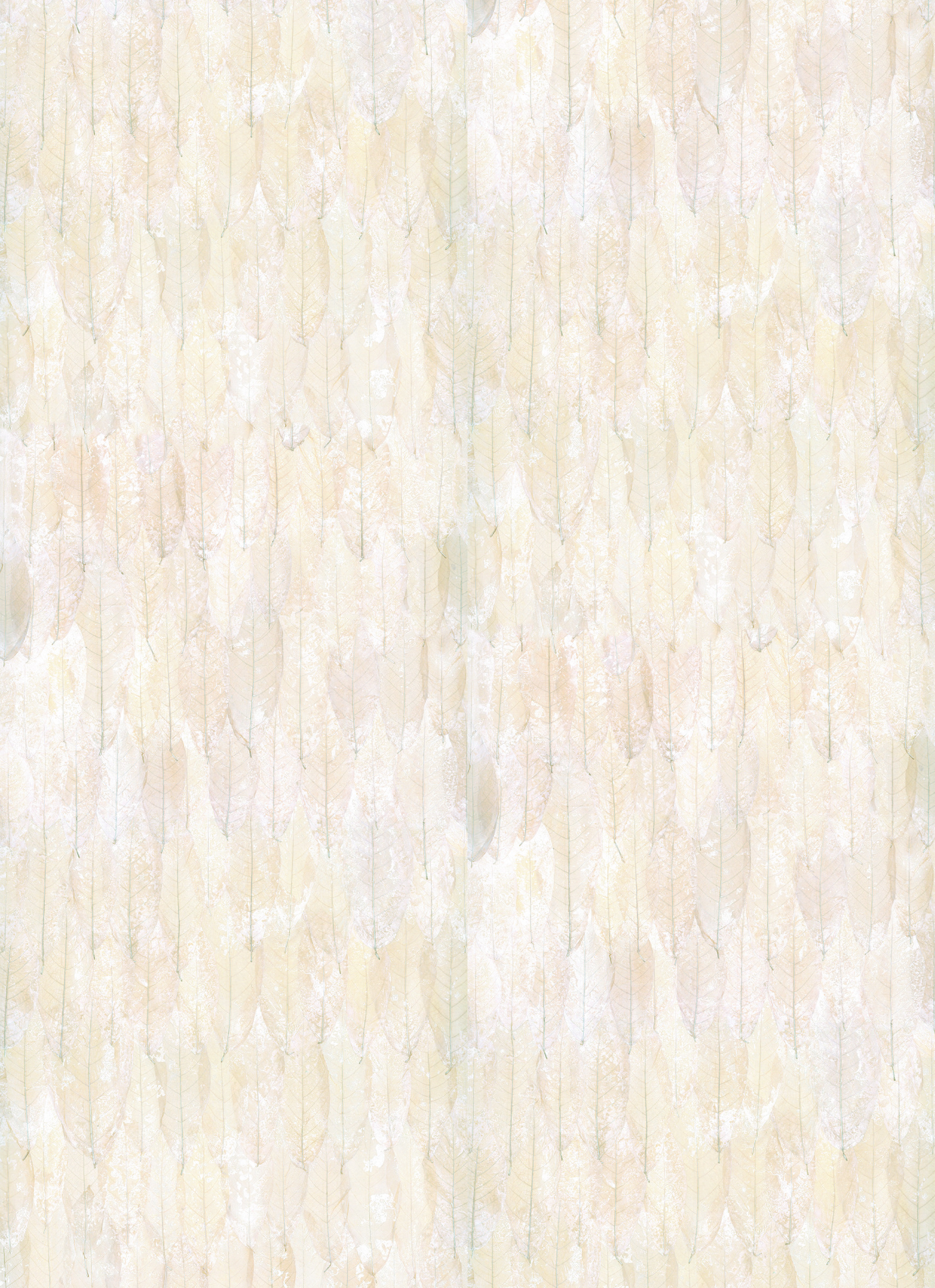 Blanche neige – White