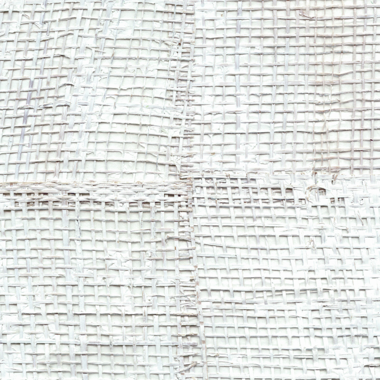 Pachira – White