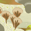 Rêves de Manille – Grey, brown