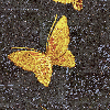 La chasse aux papillons – Yellow, Black