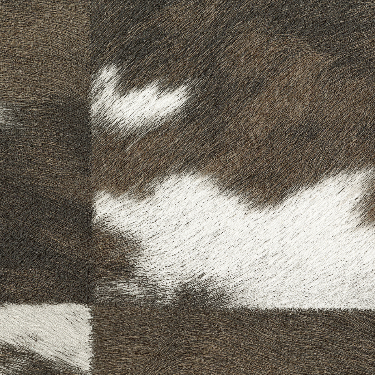 Veracruz – Brown