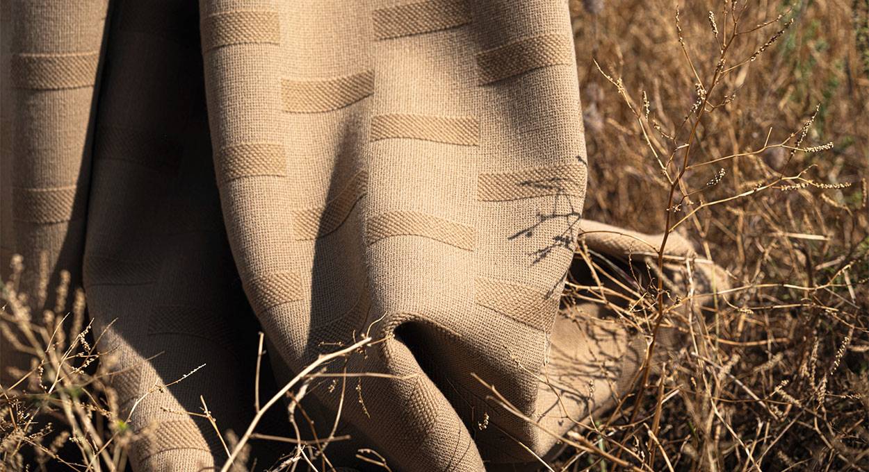 Collection Les grands marais