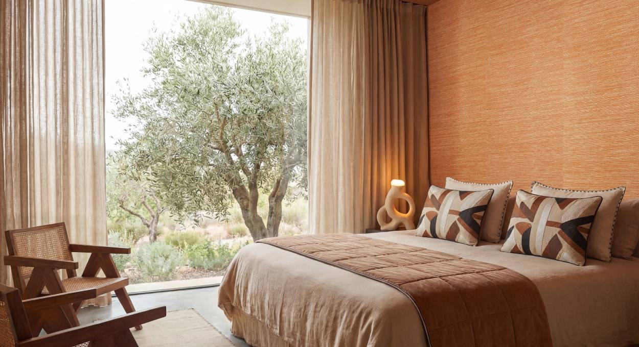 Collection Arrowroot