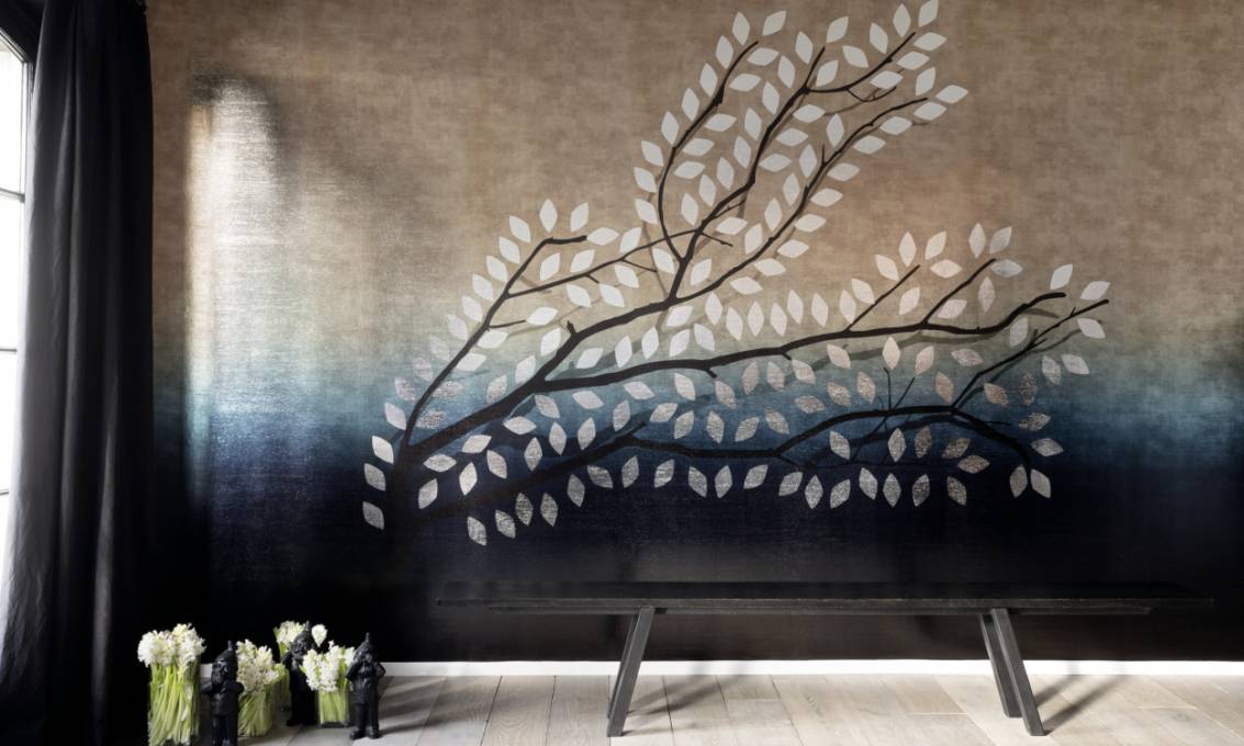 Collection Etoile De Minuit