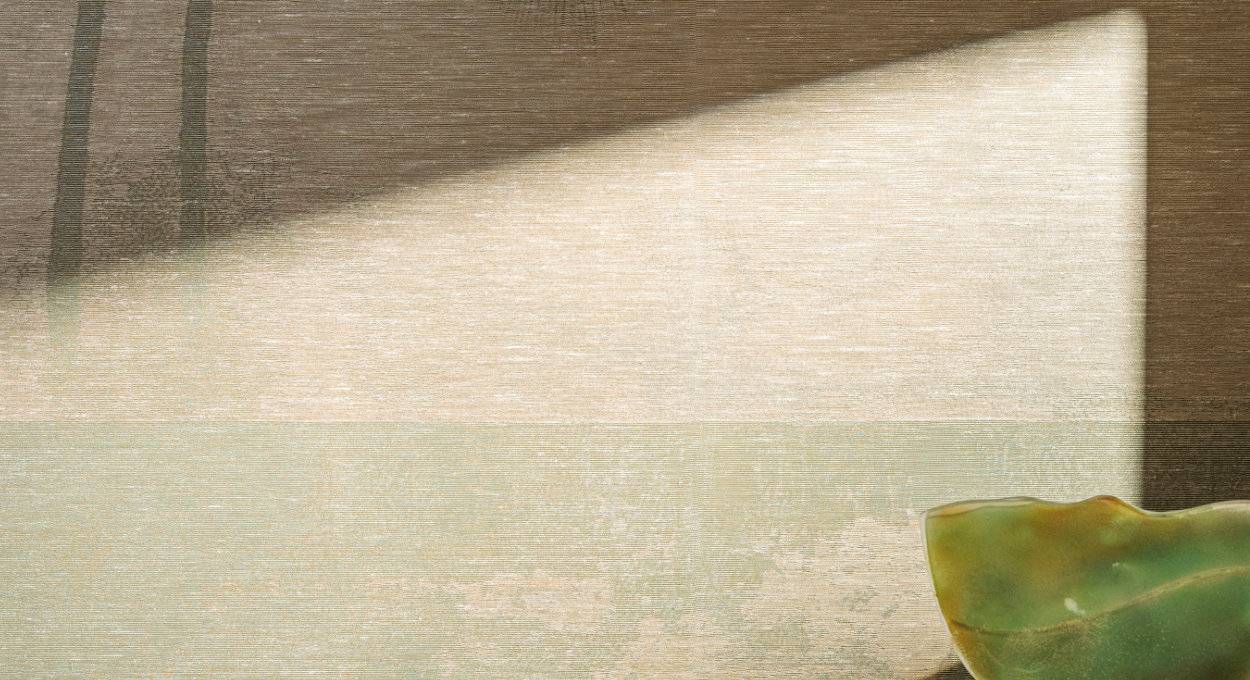 Collection Palmeraie