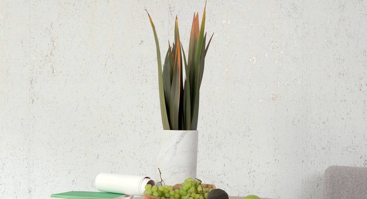 Collection Éclat RM 631