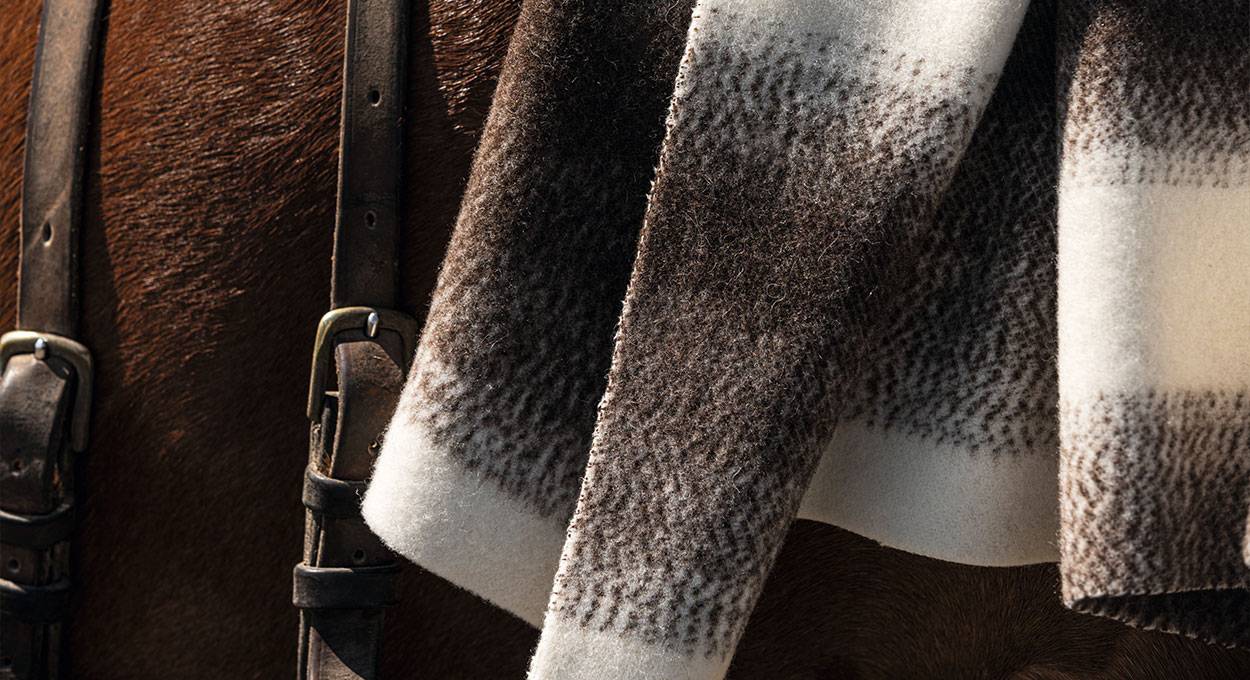 Collection Les bergers endormis