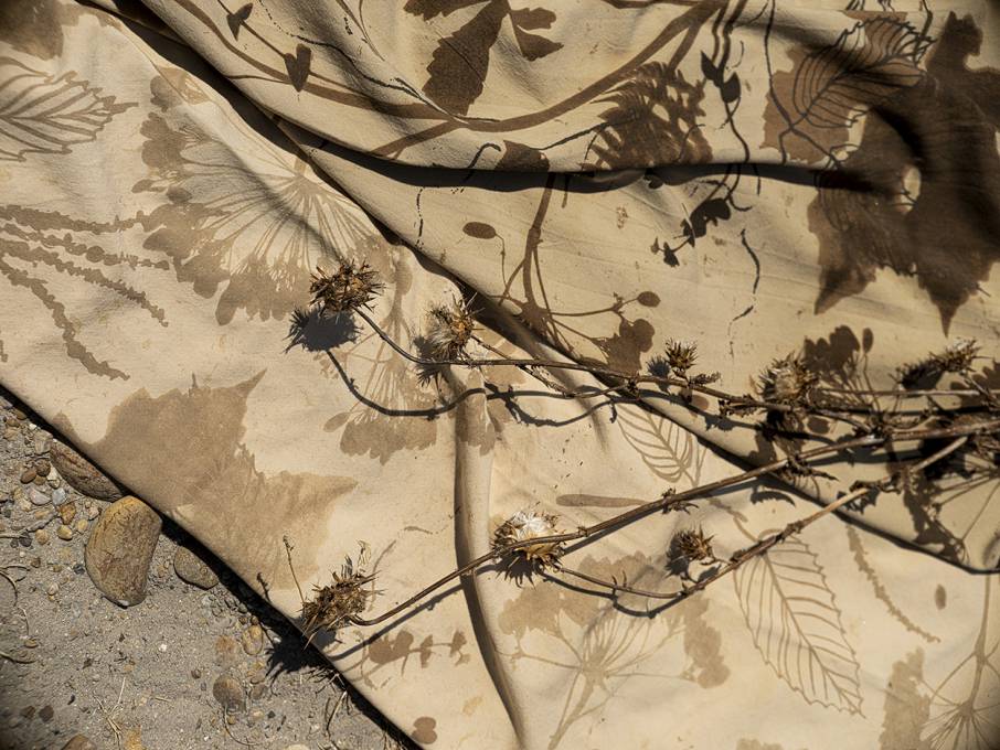 Collection Le bruit des feuilles