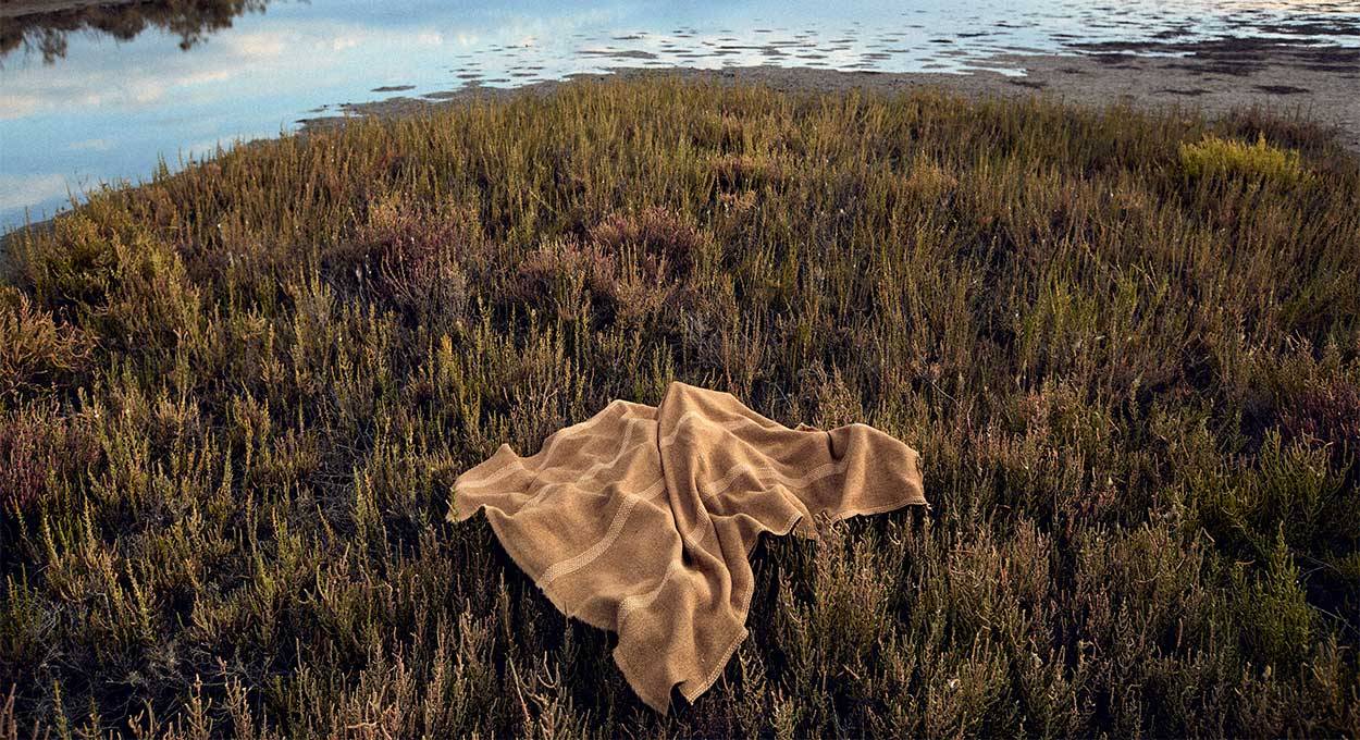 Collection Dans les roseaux