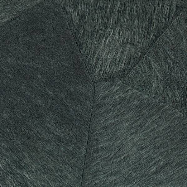 Sauvages, Appaloosa - L'ours blanc VP_618_01