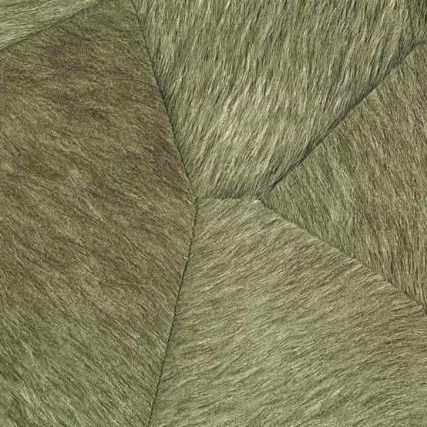 Sauvages, Appaloosa - L'ours blanc VP_618_01