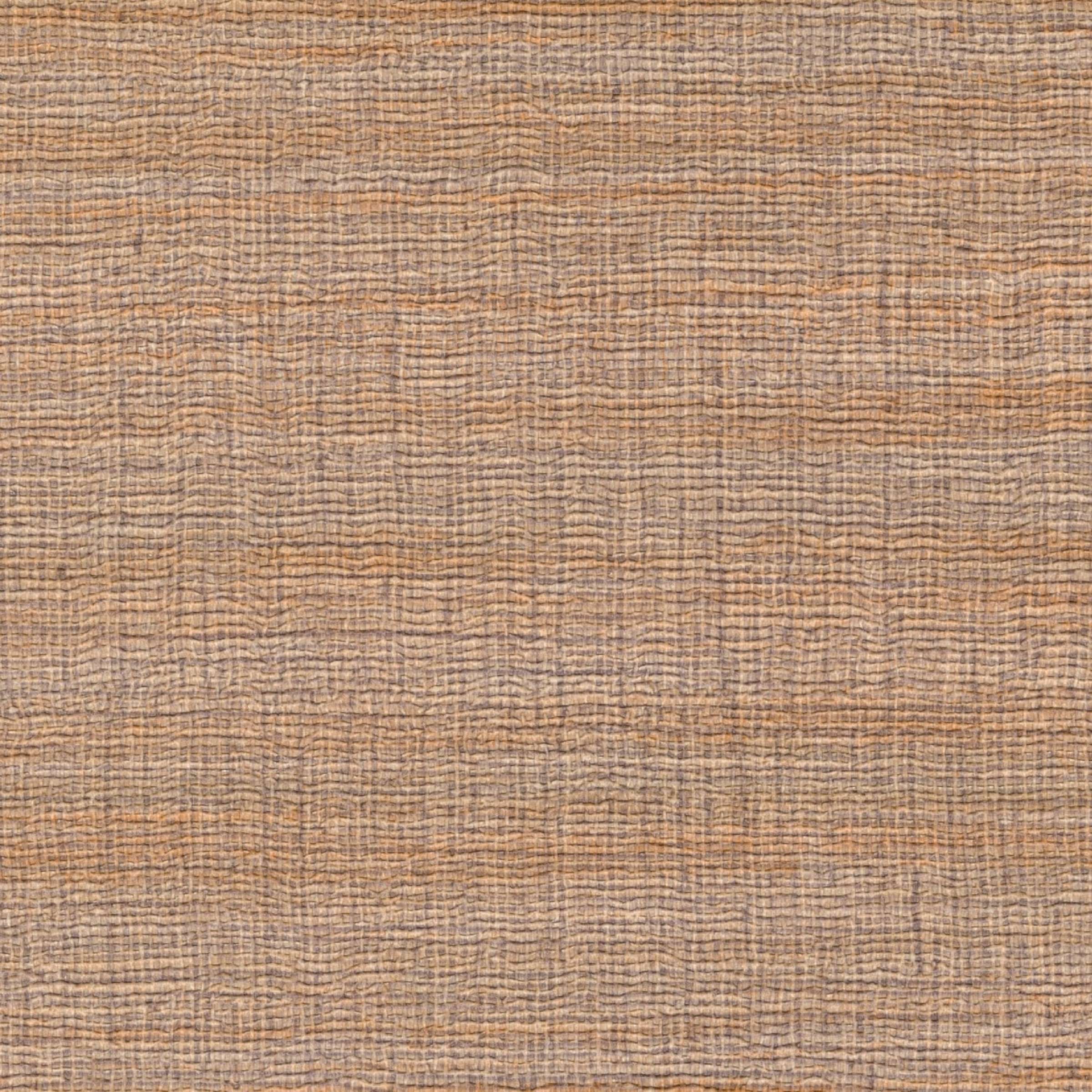 VP 1008 15 - Son côté dandy 