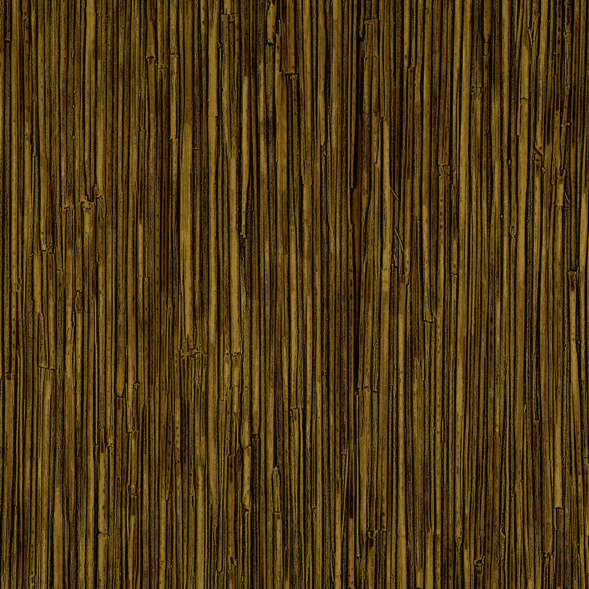 CV 117 08 - Une présence envahissante