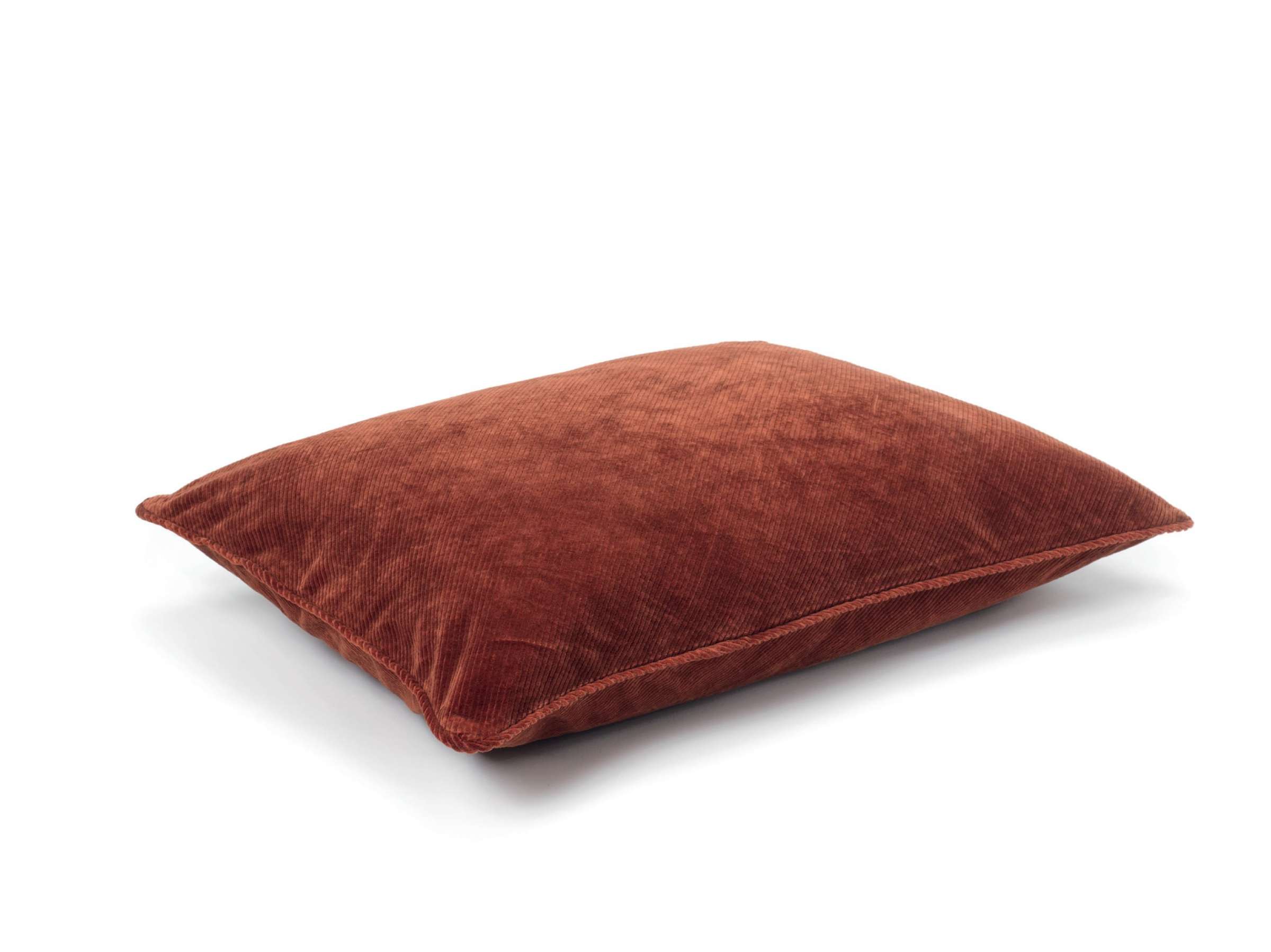 ITHAQUE Big Renard - Image_produit_1