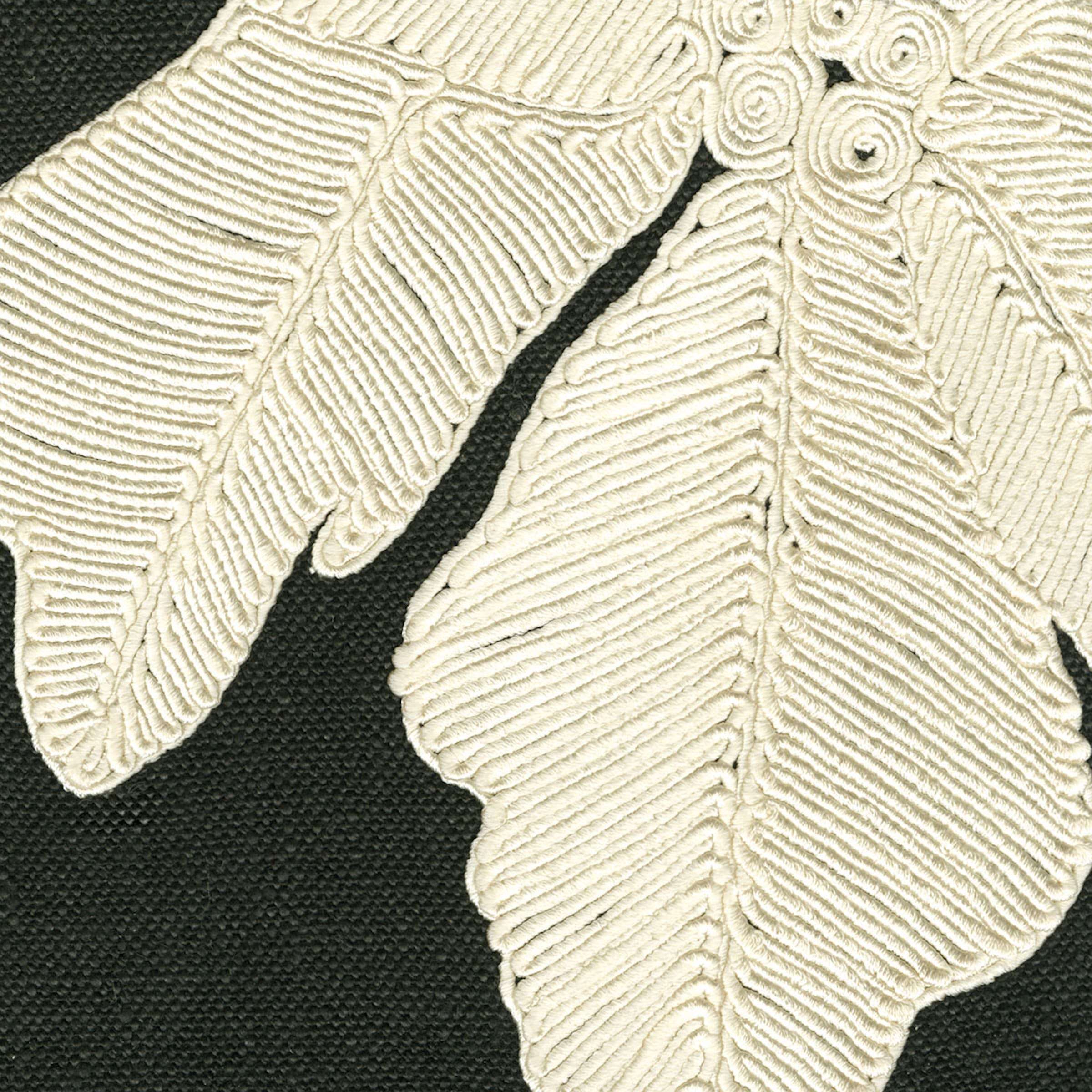 RM 1114 80 - Entouré d'ombre et d'ivoire 