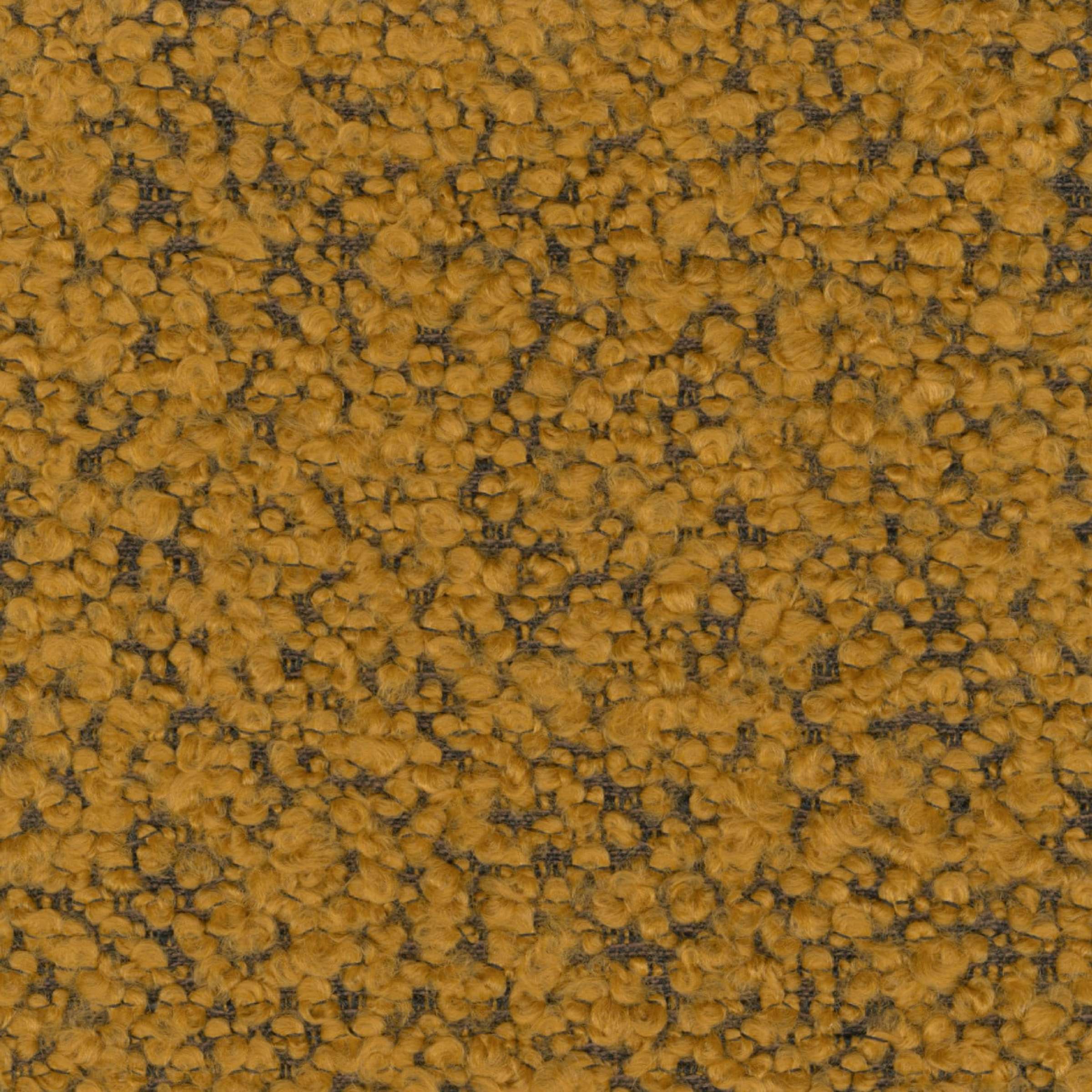 LR 381 22 - Aube dorée