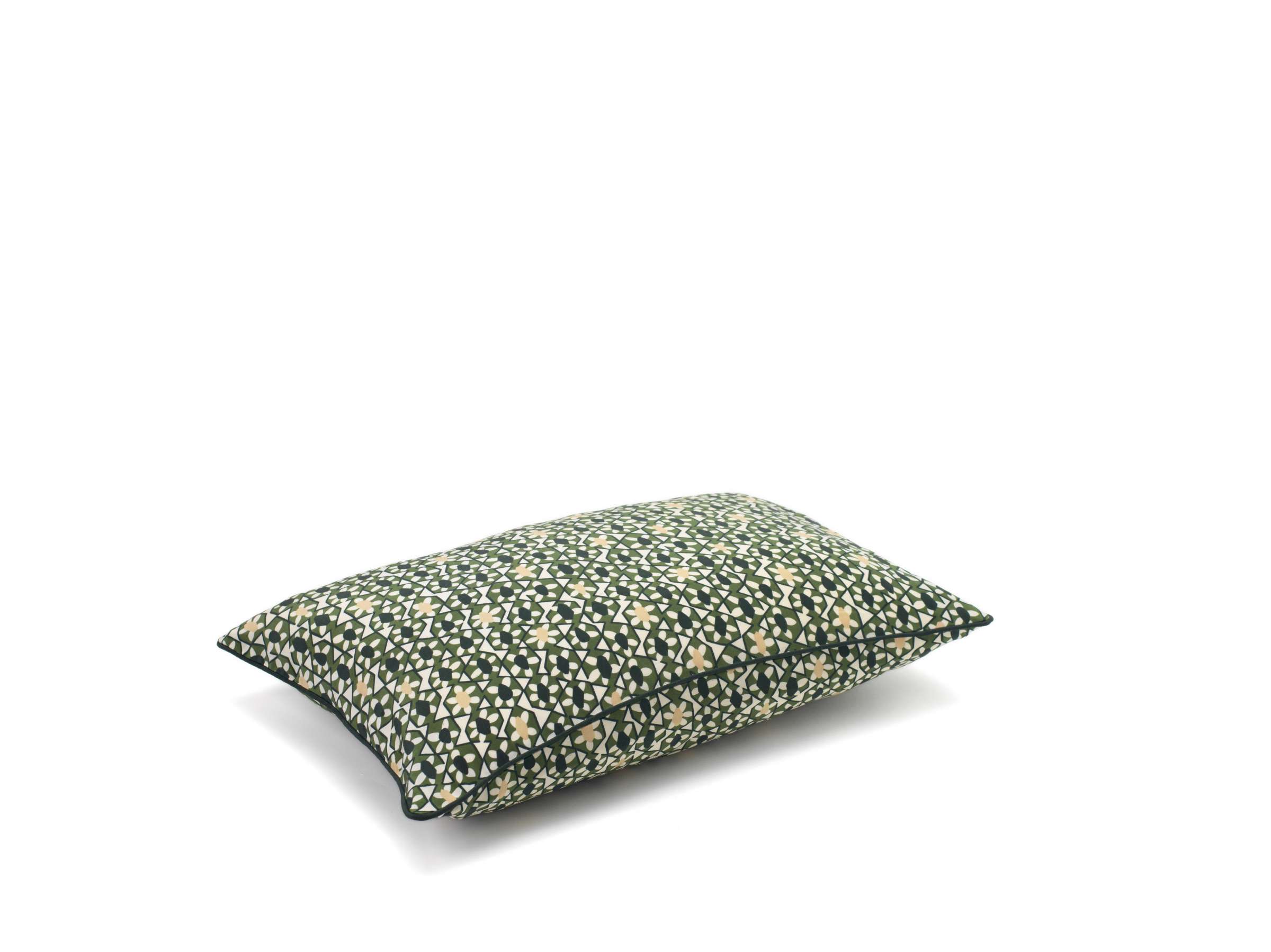 AZTECA Figuier - Image_produit_1