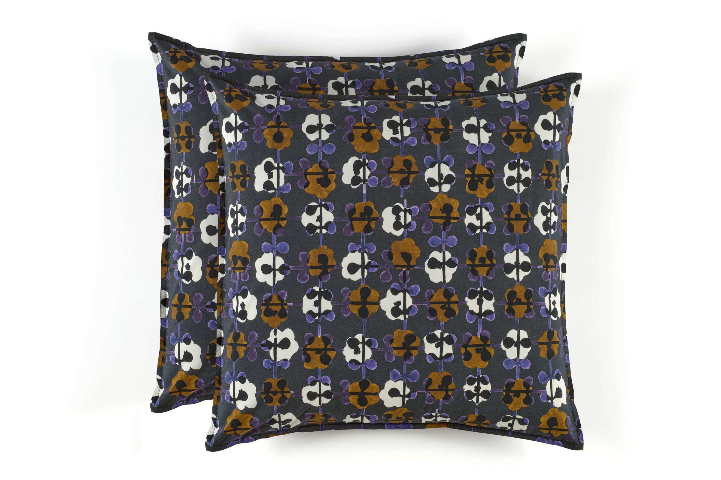 OR 101 82 01 - DAISY Outremer