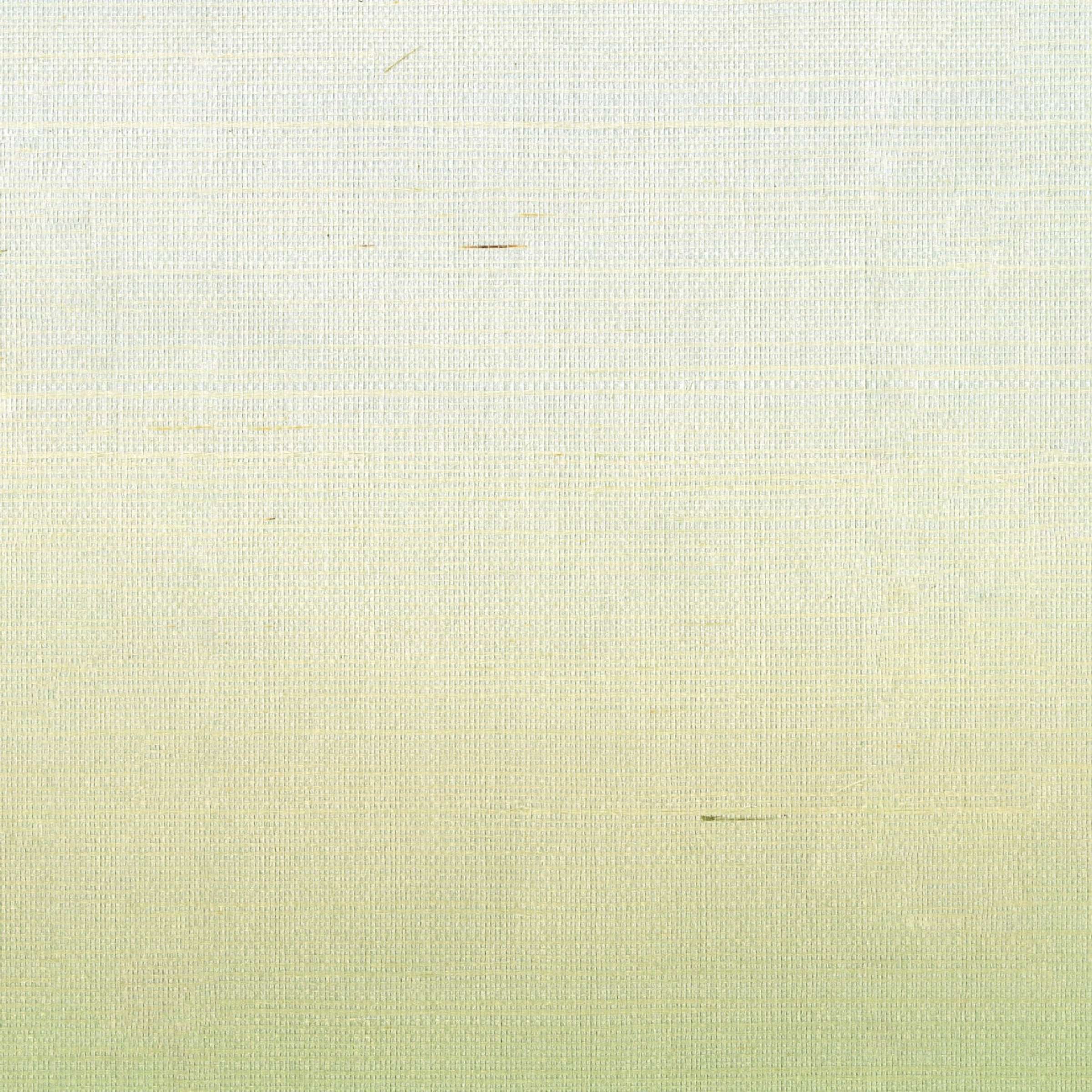 RM 1082 09 - Un frémissement lumineux 