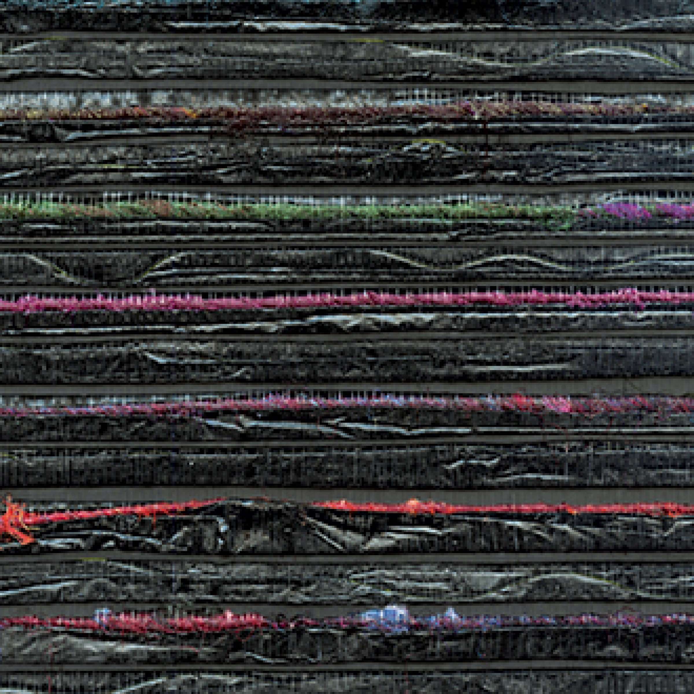 RM 679 80 - Fidèle comme une ombre