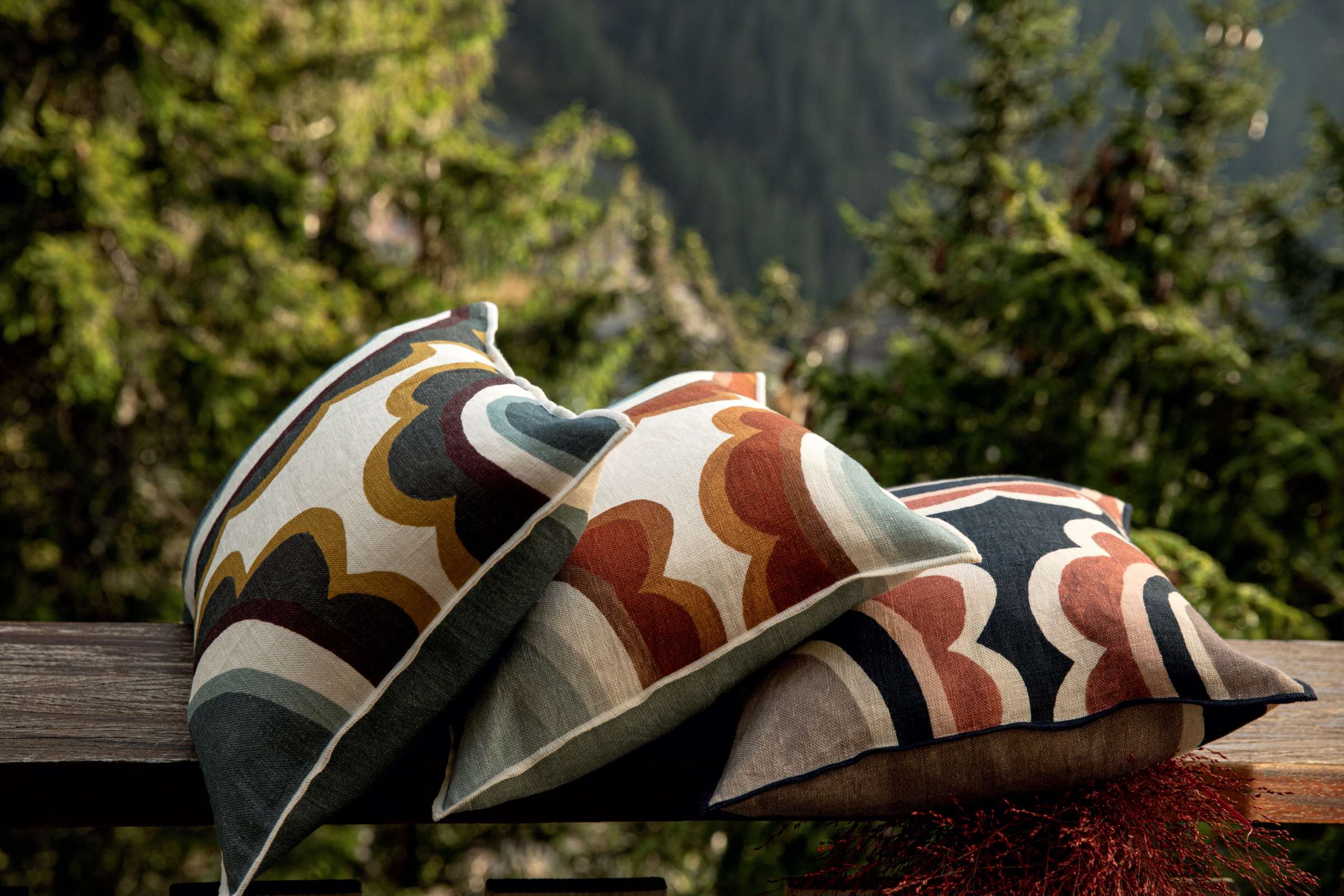 MARGUERITE Blue dream - Image_produit_2