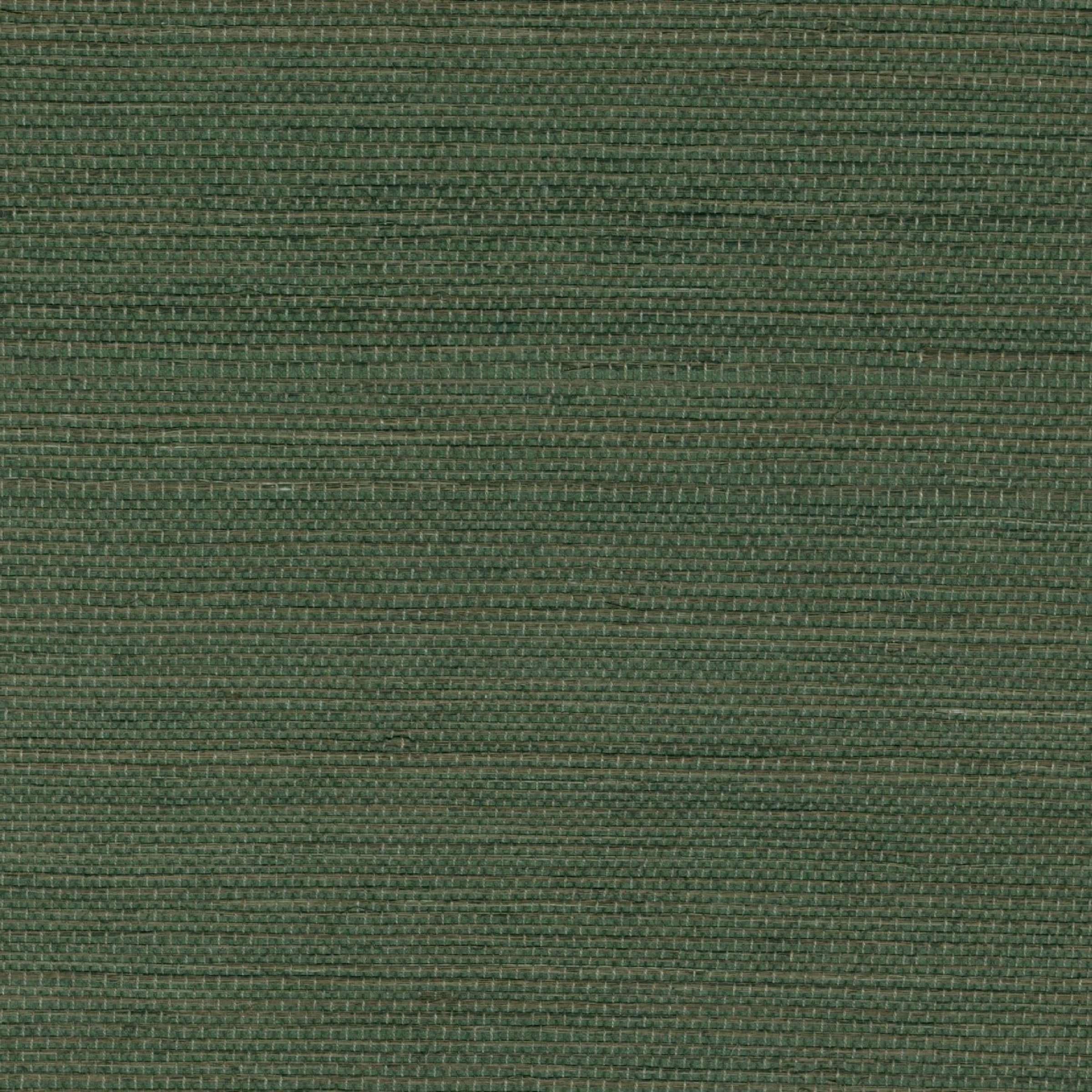 RM 1069 62 - Au milieu de la garrigue 