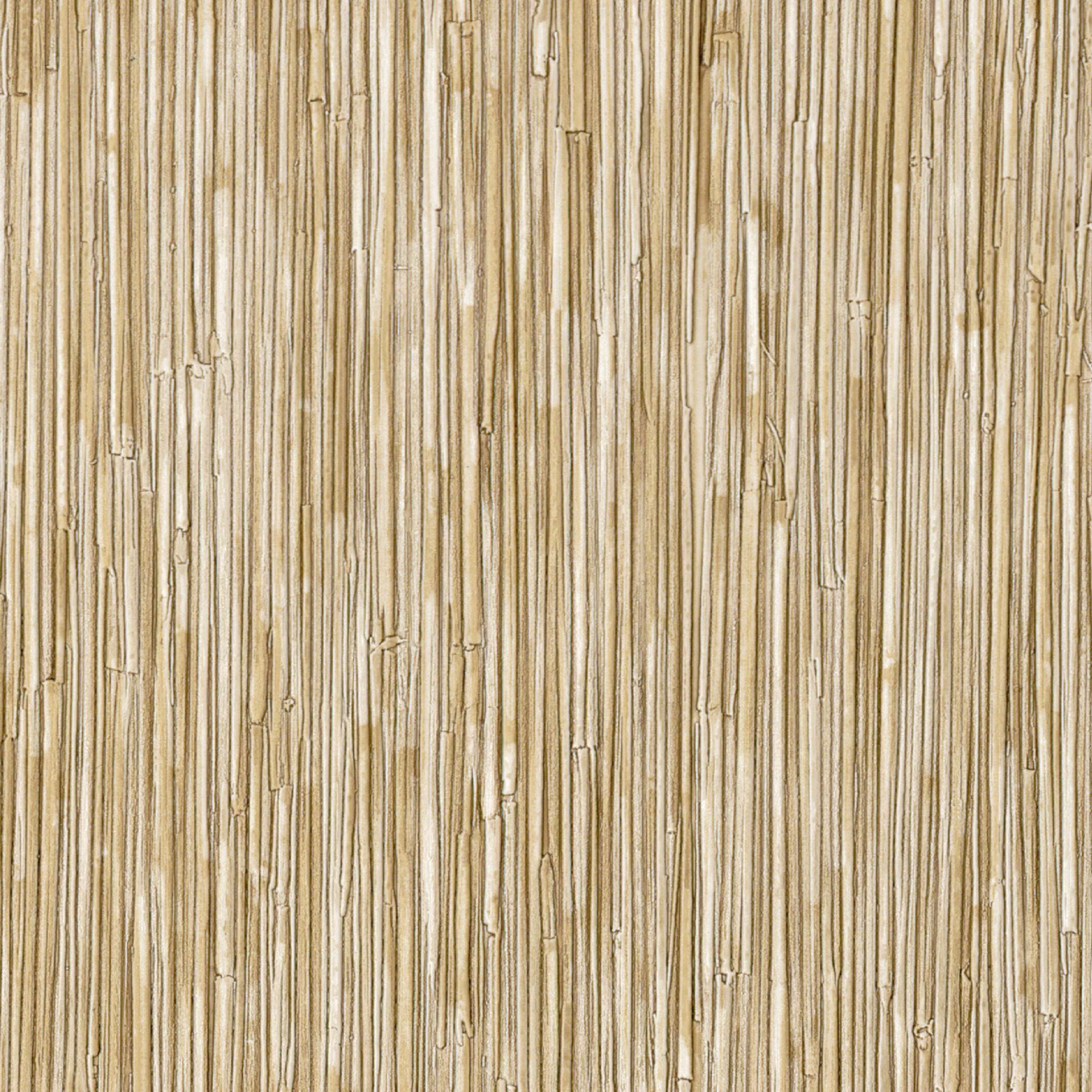 CV 117 05 - Une source de vie