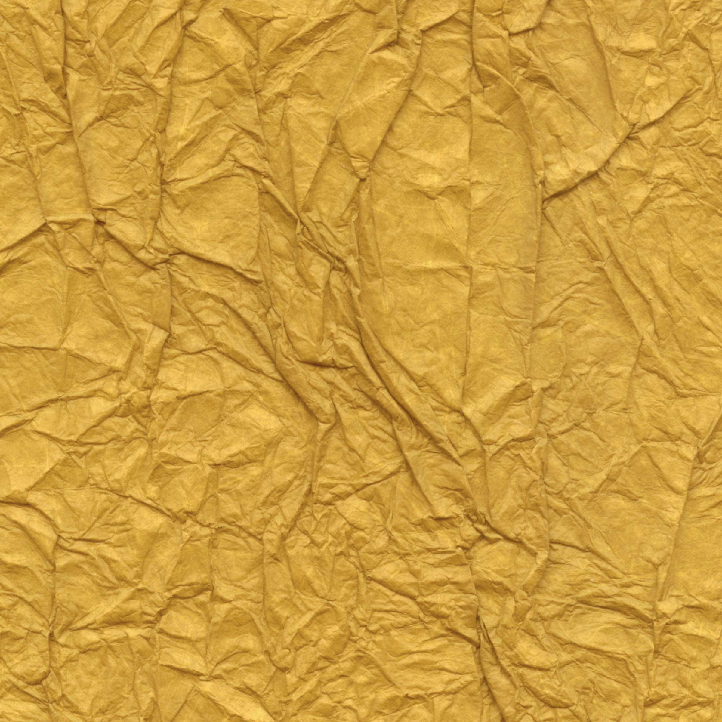 RM 221 21 - Le silence est d'or