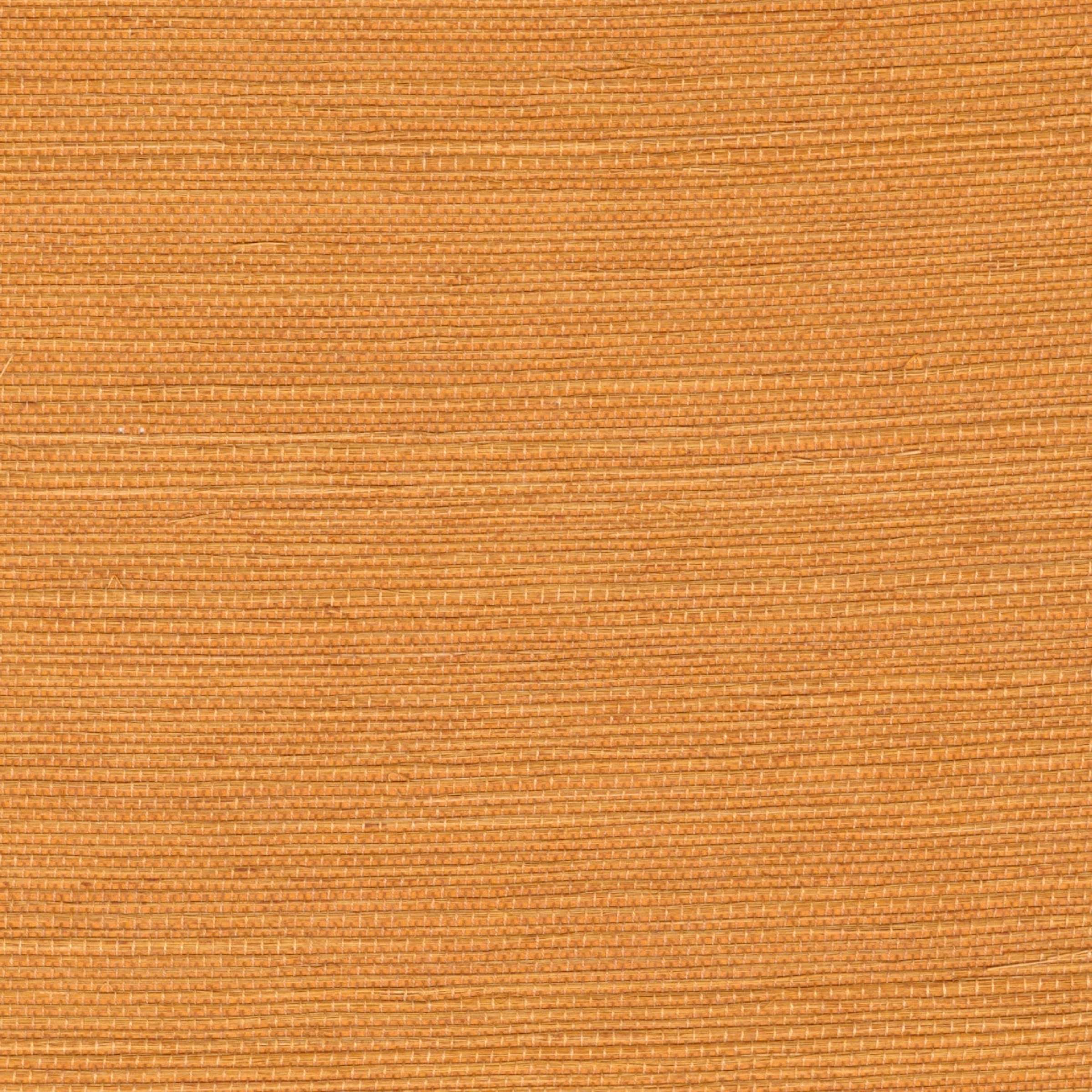 RM 1069 22 - Dorée au soleil 