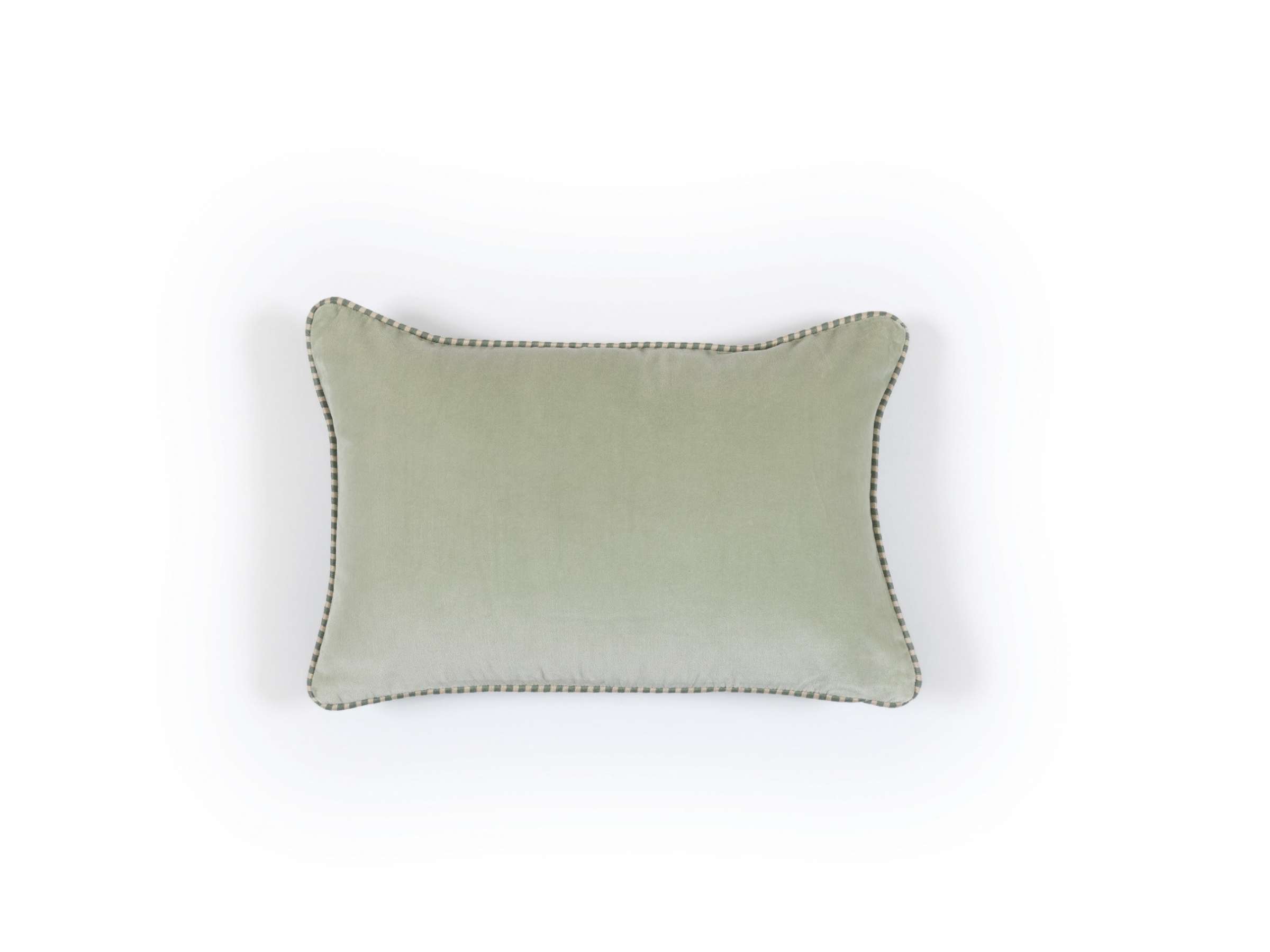 CO 260 61 04 - OLYMPE Sauge