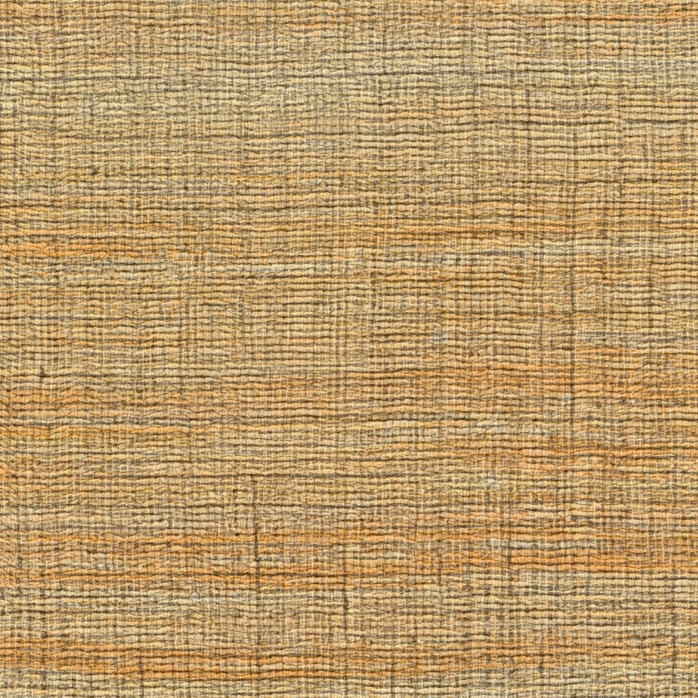 VP 1008 11 - Un détour dans la savane 