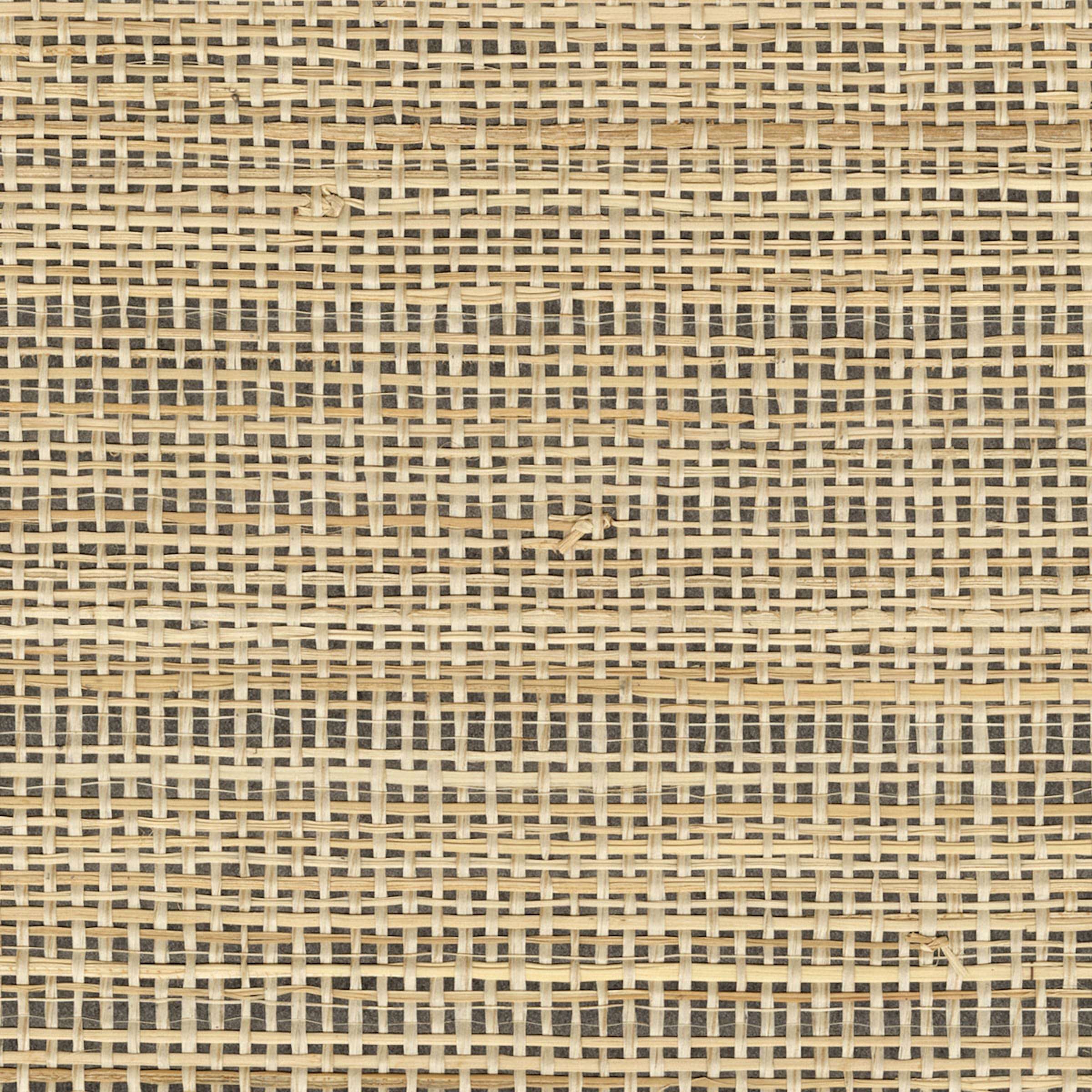 RM 1133 80 - Une beauté désinvolte 