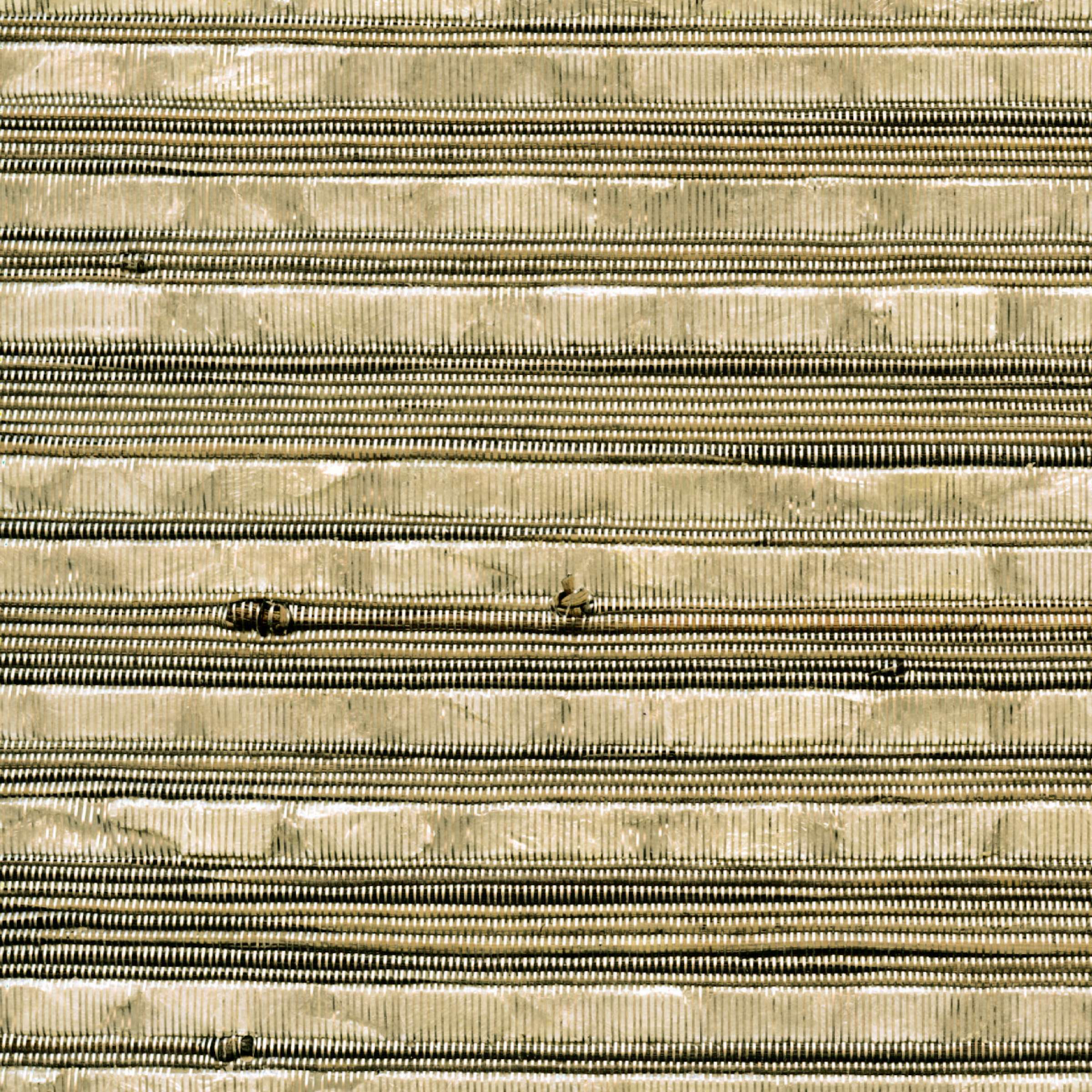 RM 887 02 - Se laisser émerveiller