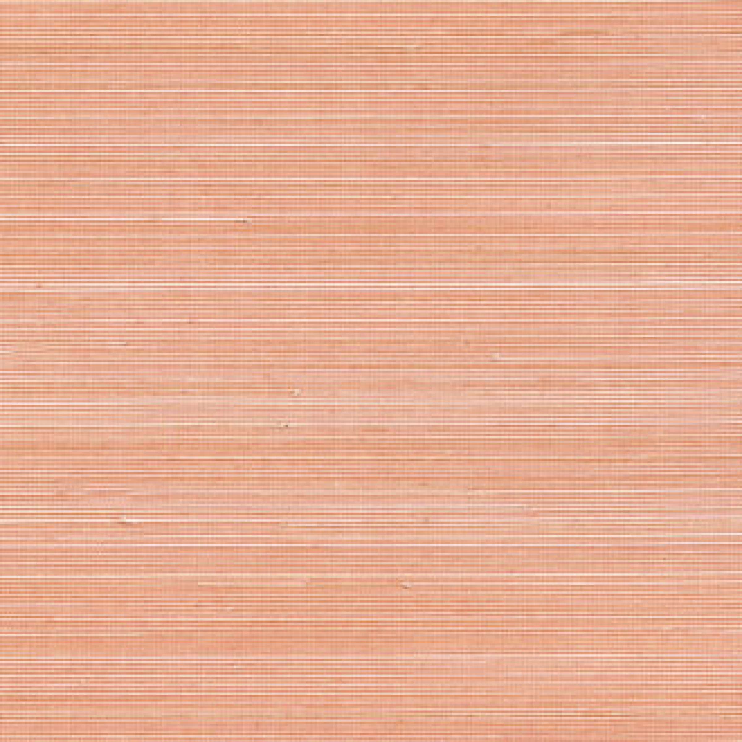 RM 110 39 - Au rythme de belles rencontres