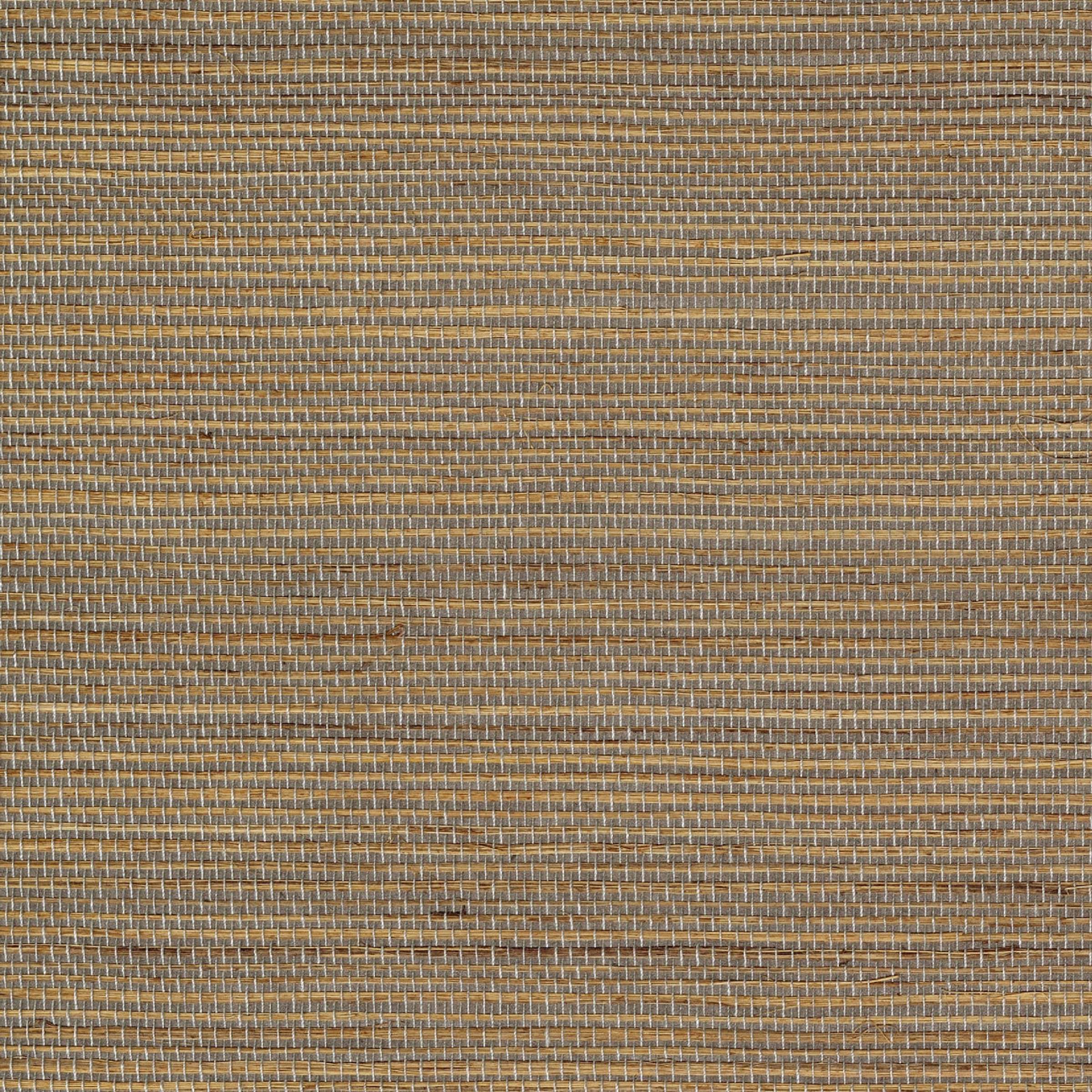 RM 1070 05 - Briser les frontières