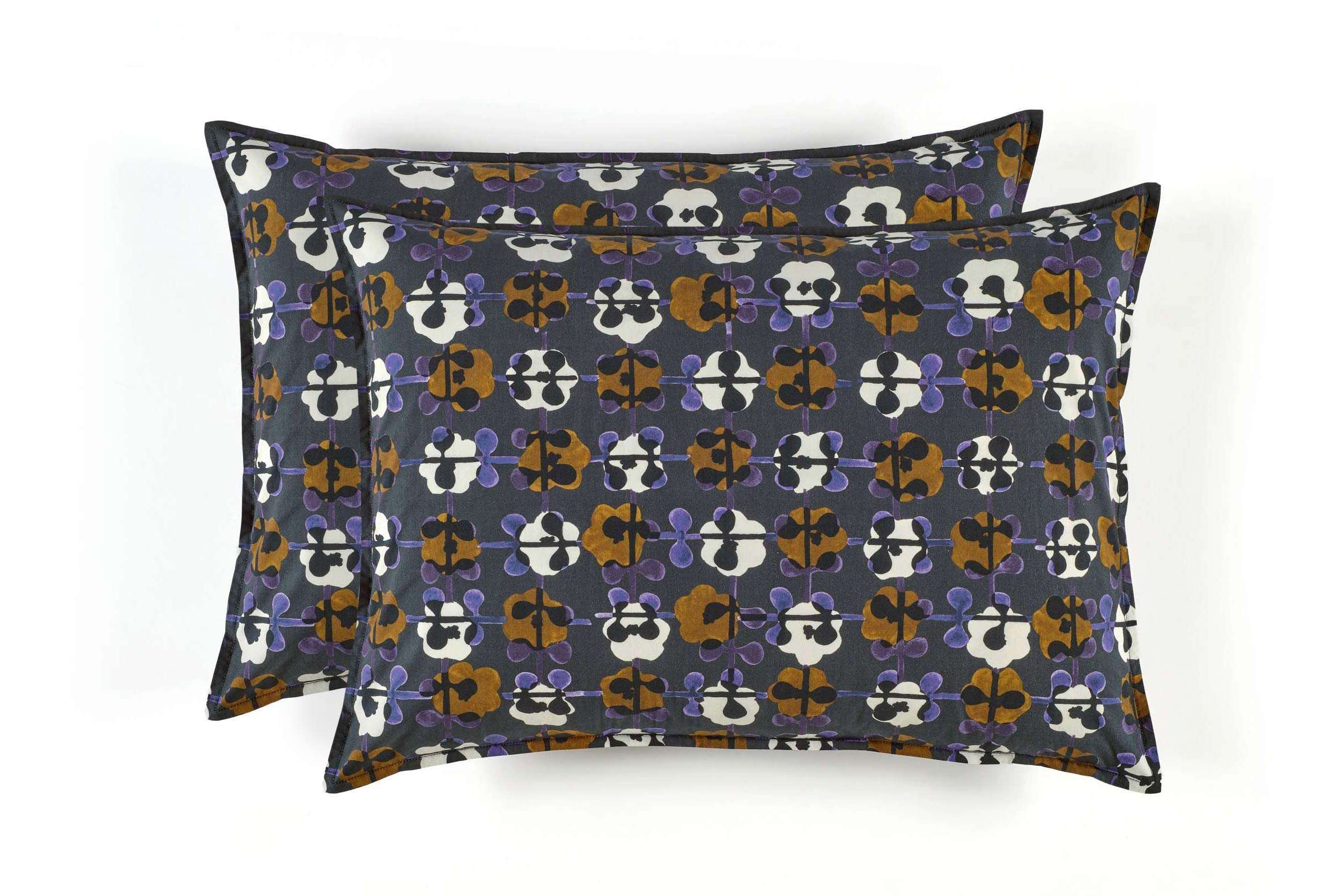 OR 101 82 02 - DAISY Outremer