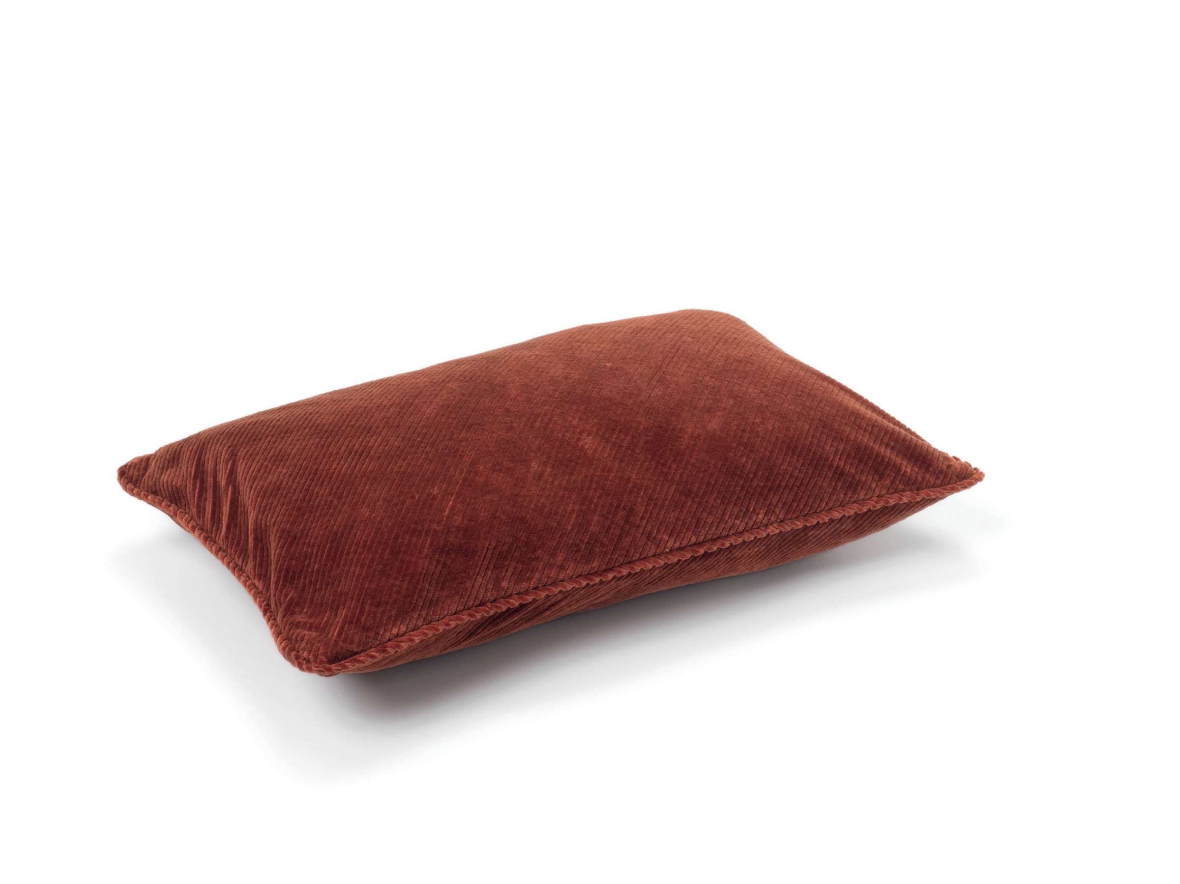 ITHAQUE Baby Renard - Image_produit_1