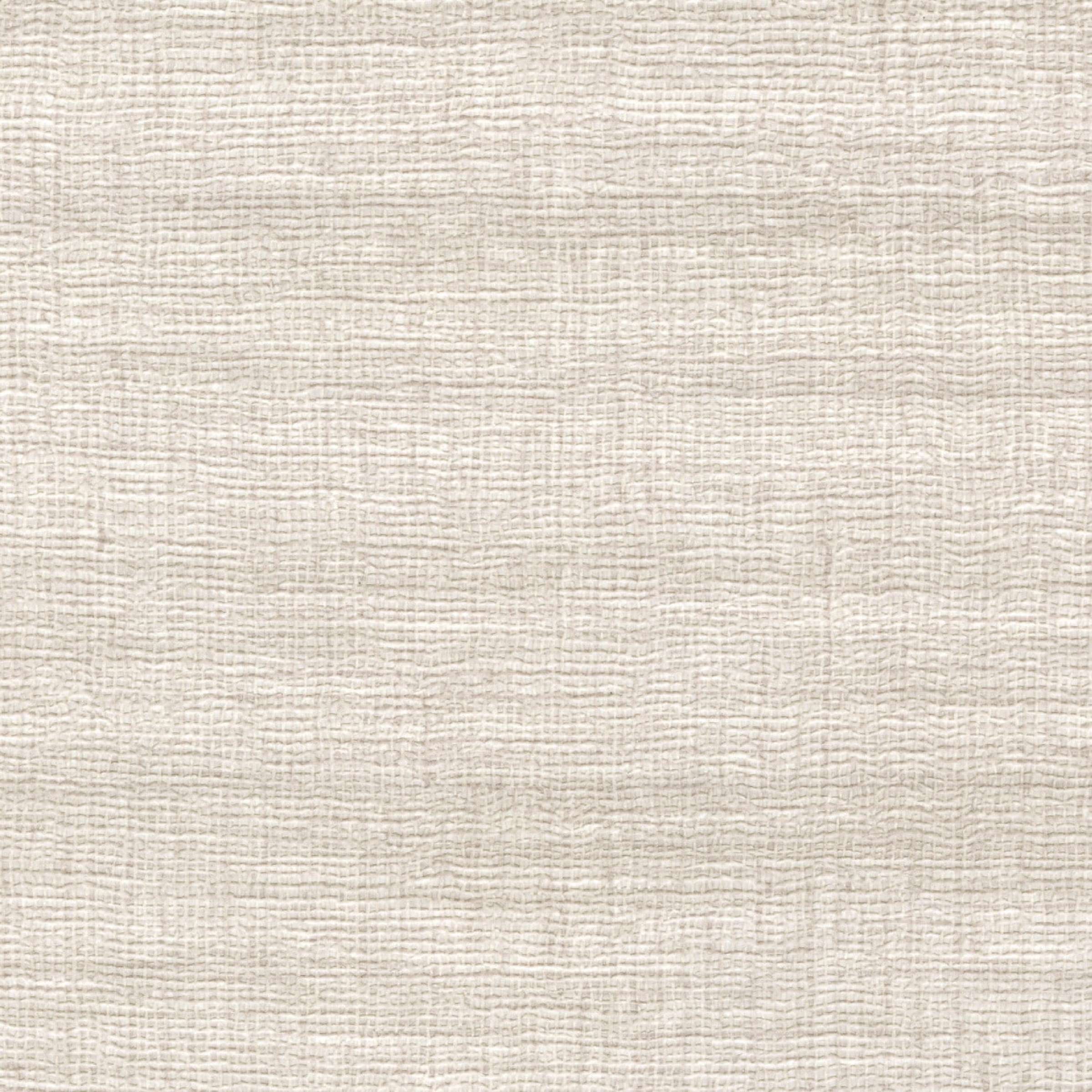 VP 1008 02 - Une trame diaphane