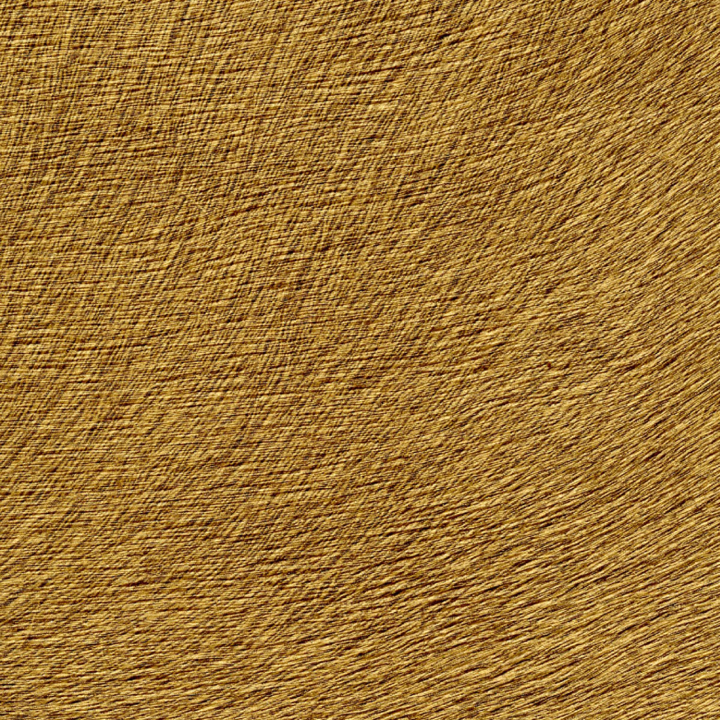 VP 625 30 - Tatouée d'or