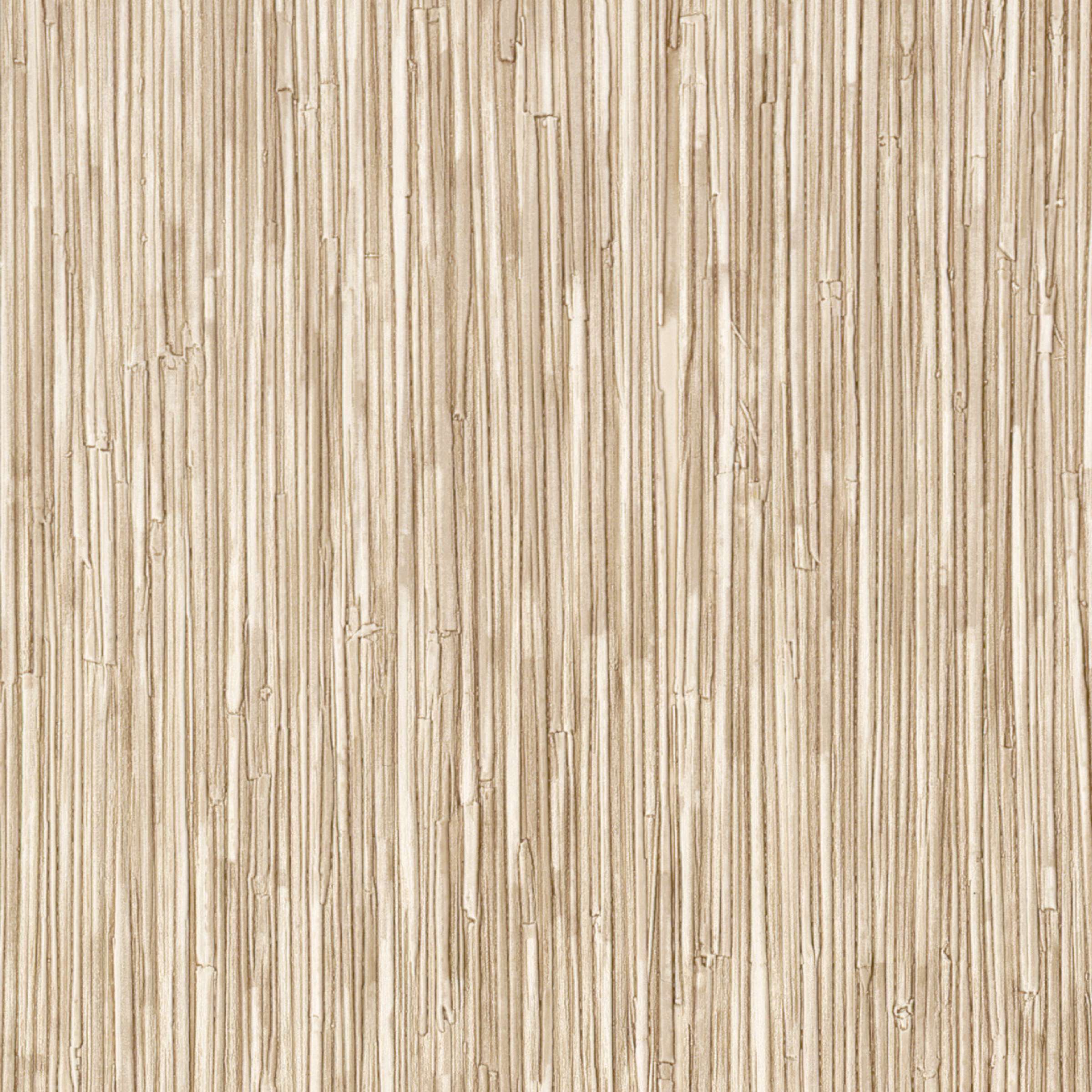 CV 117 02 - Un air de lagune