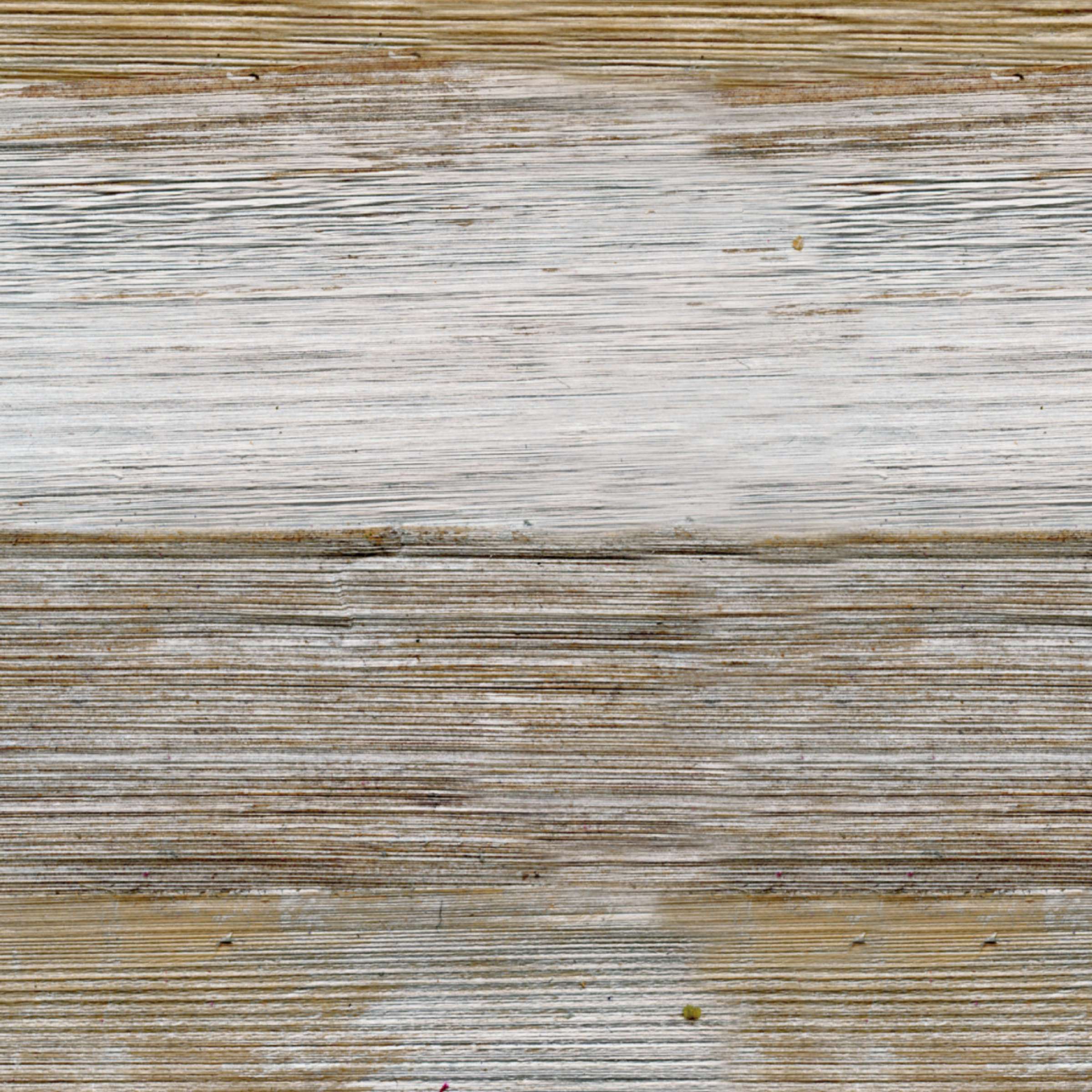 RM 906 90 - La passion de la nature