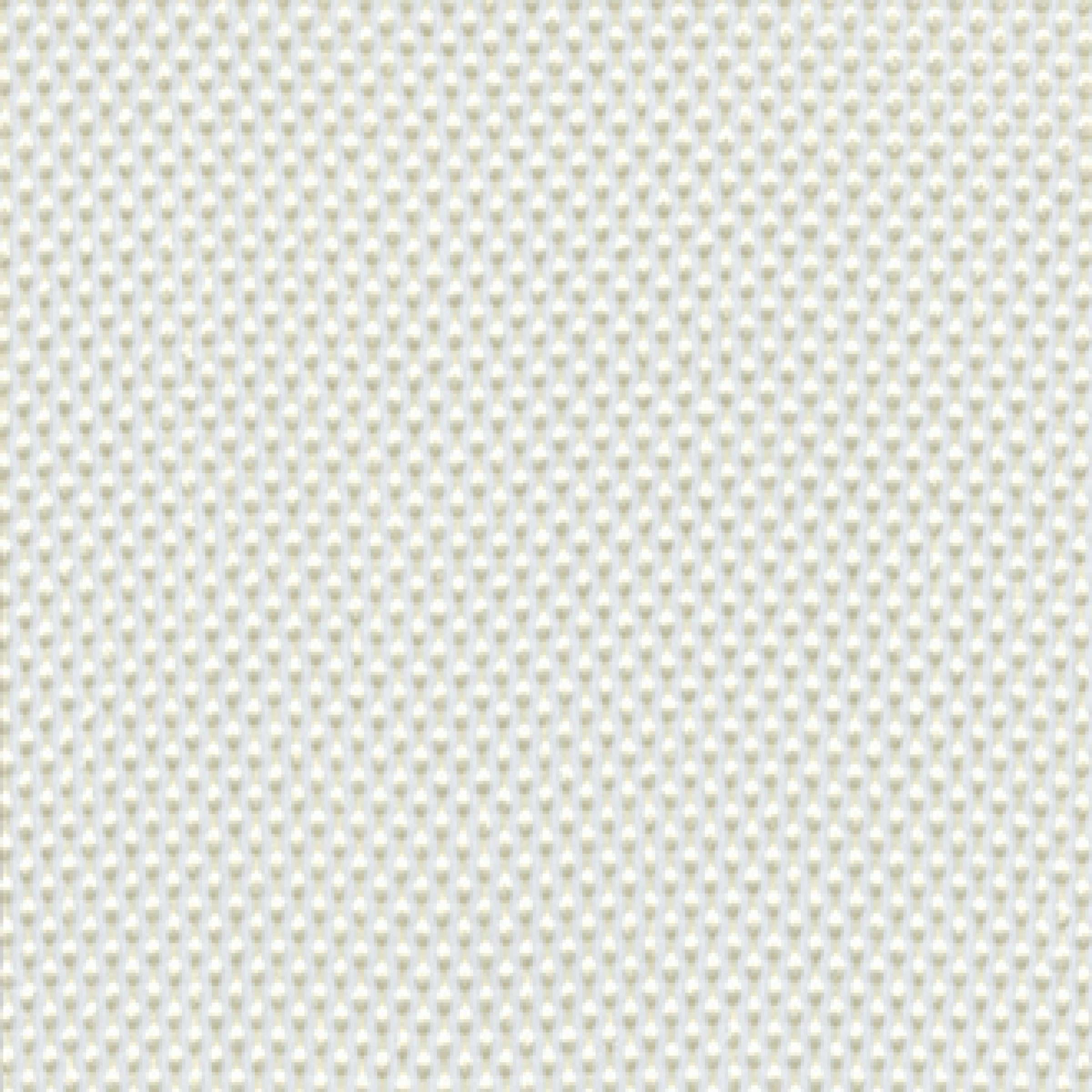 TV 577 02 - Défense d'ivoire